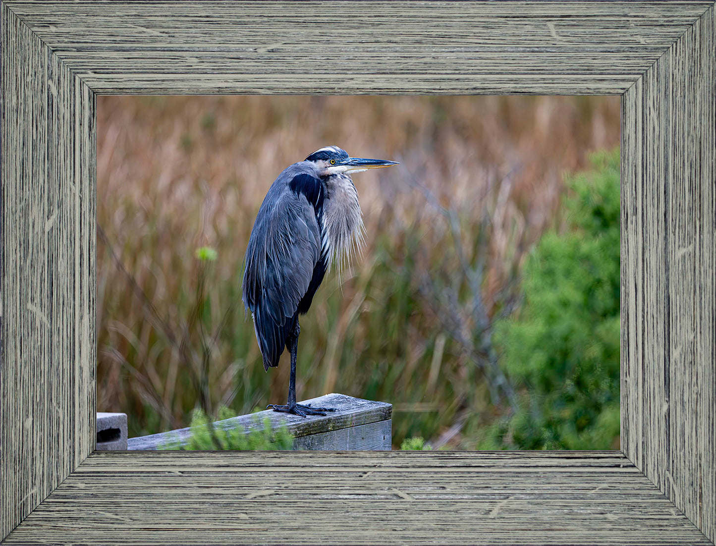 The Morning Watch -- Digital Print