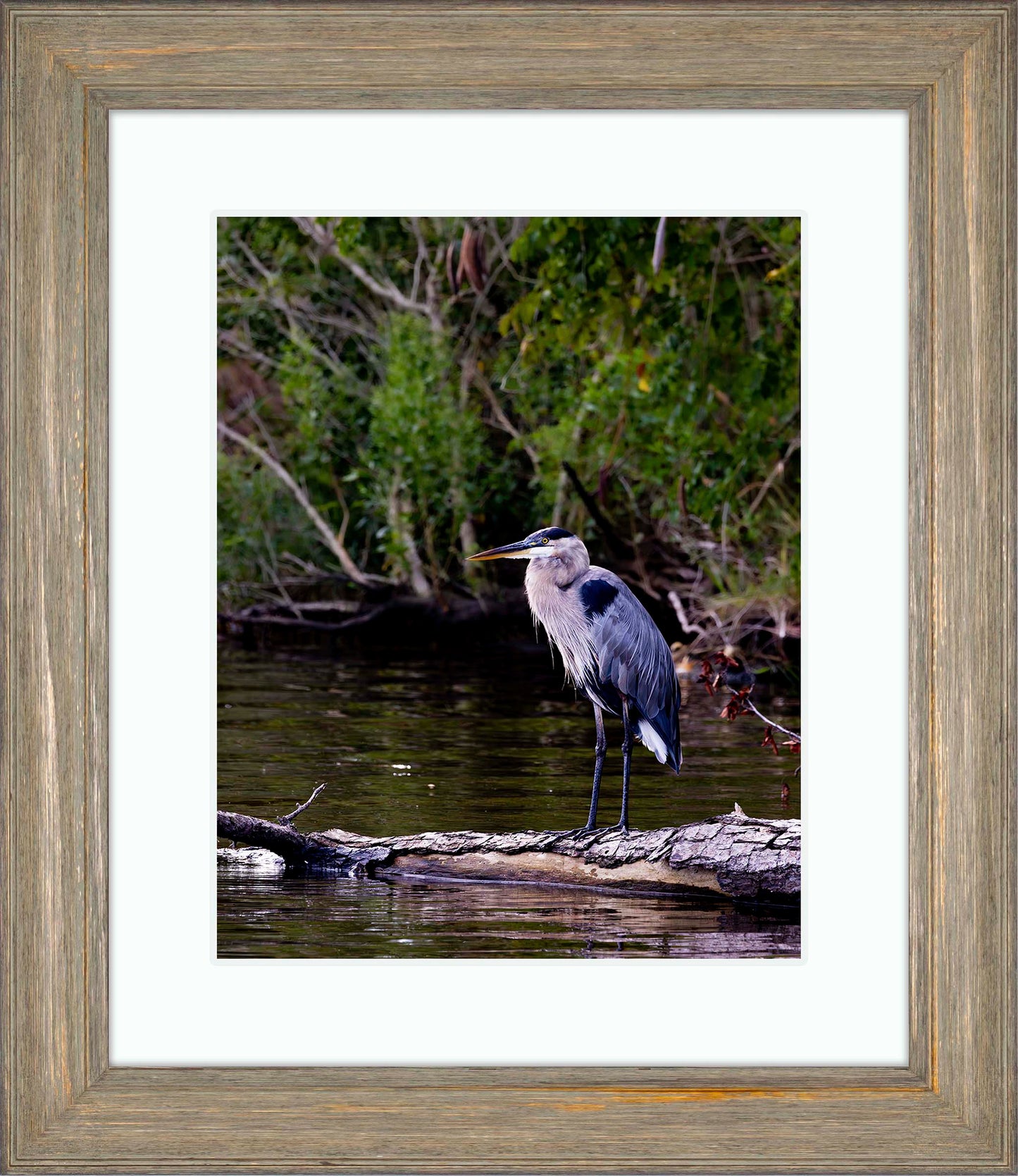 The Surveyor -- Digital Print