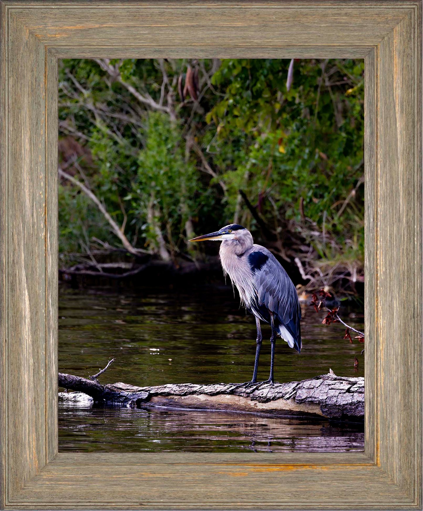 The Surveyor -- Digital Print