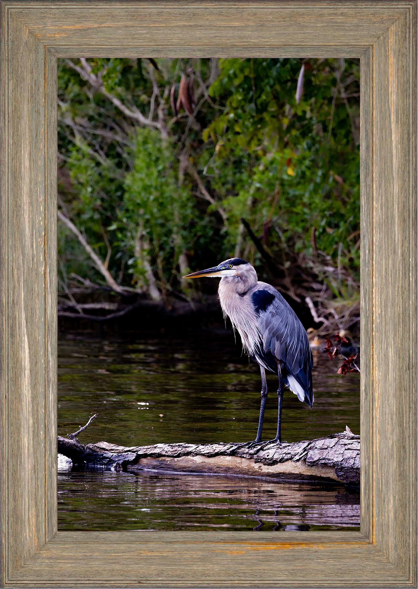 The Surveyor -- Digital Print