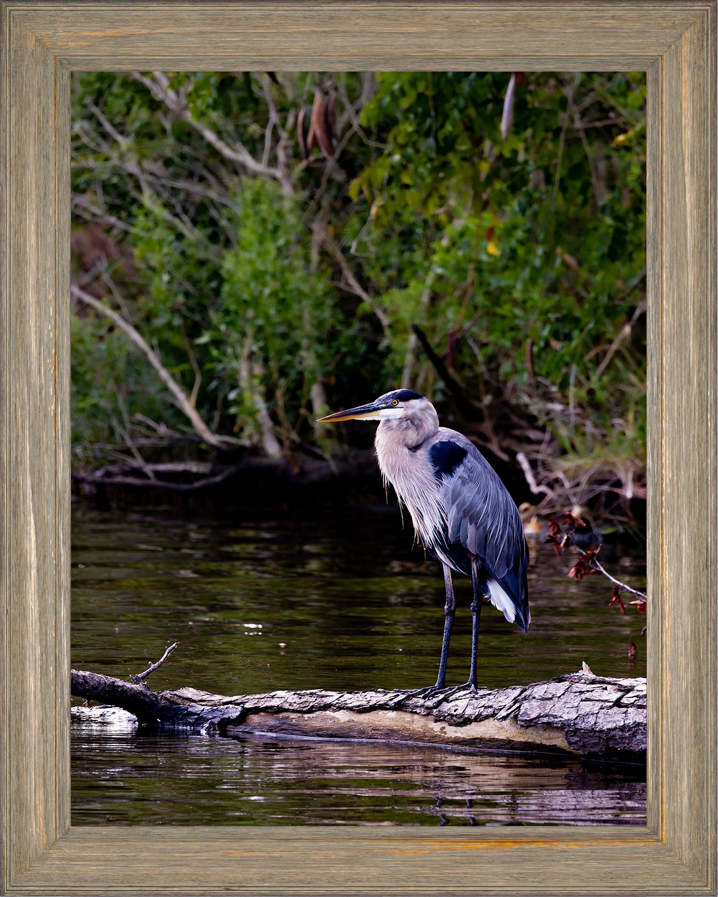 The Surveyor -- Digital Print