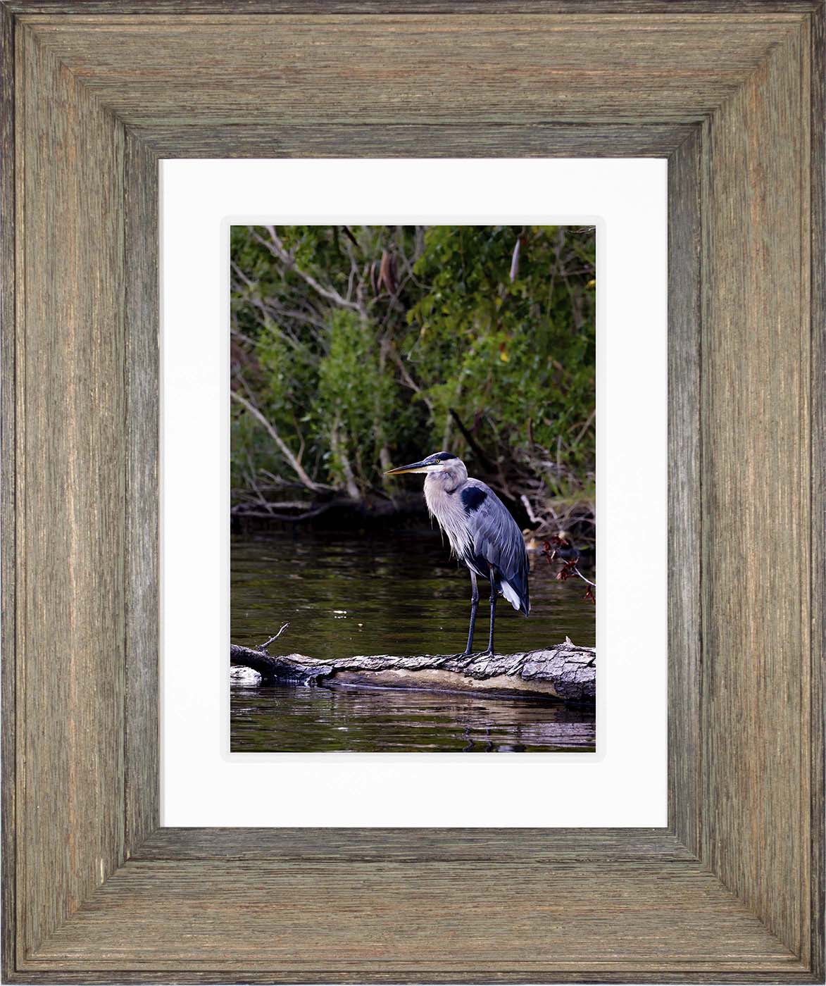 The Surveyor -- Digital Print