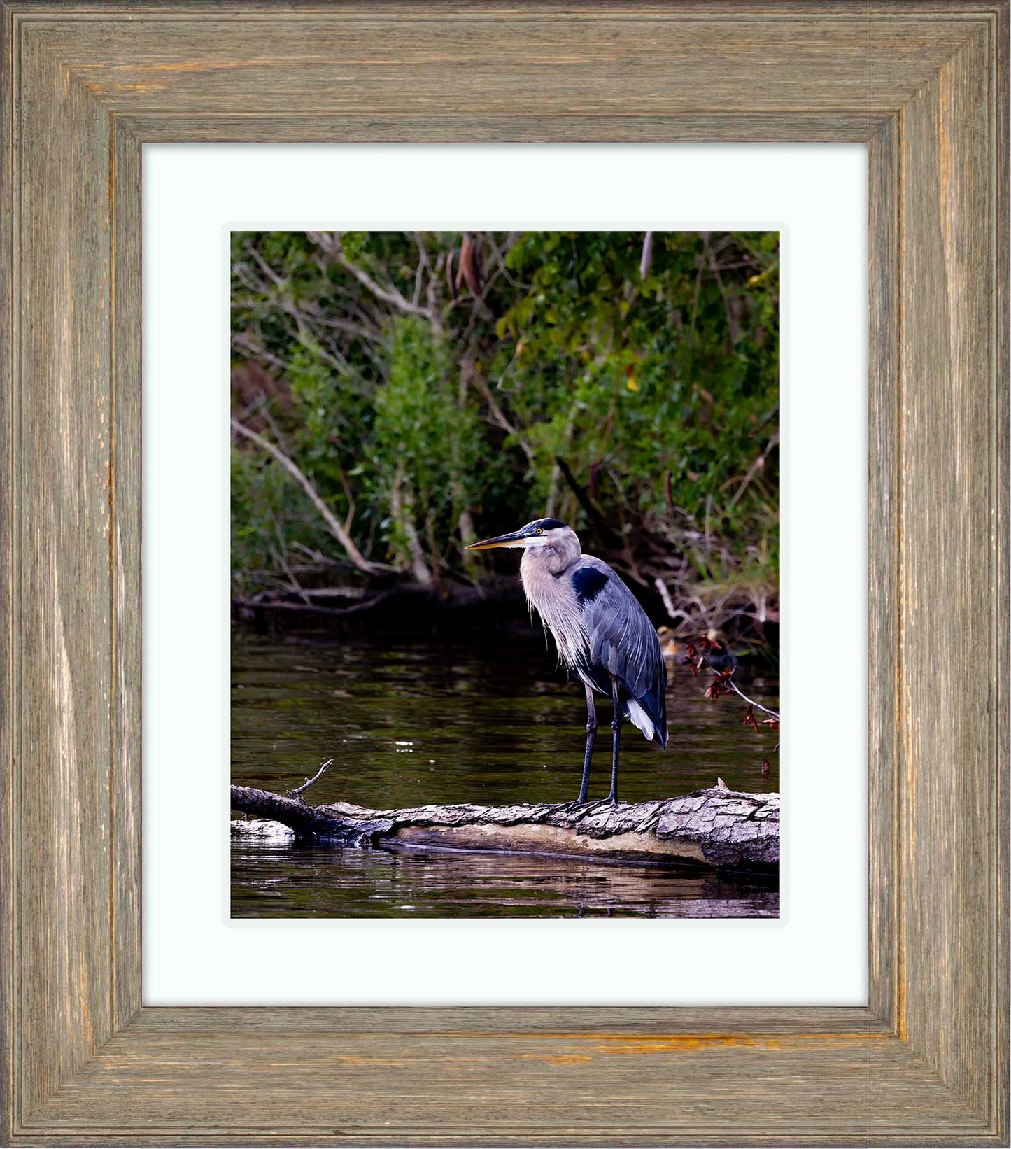 The Surveyor -- Digital Print