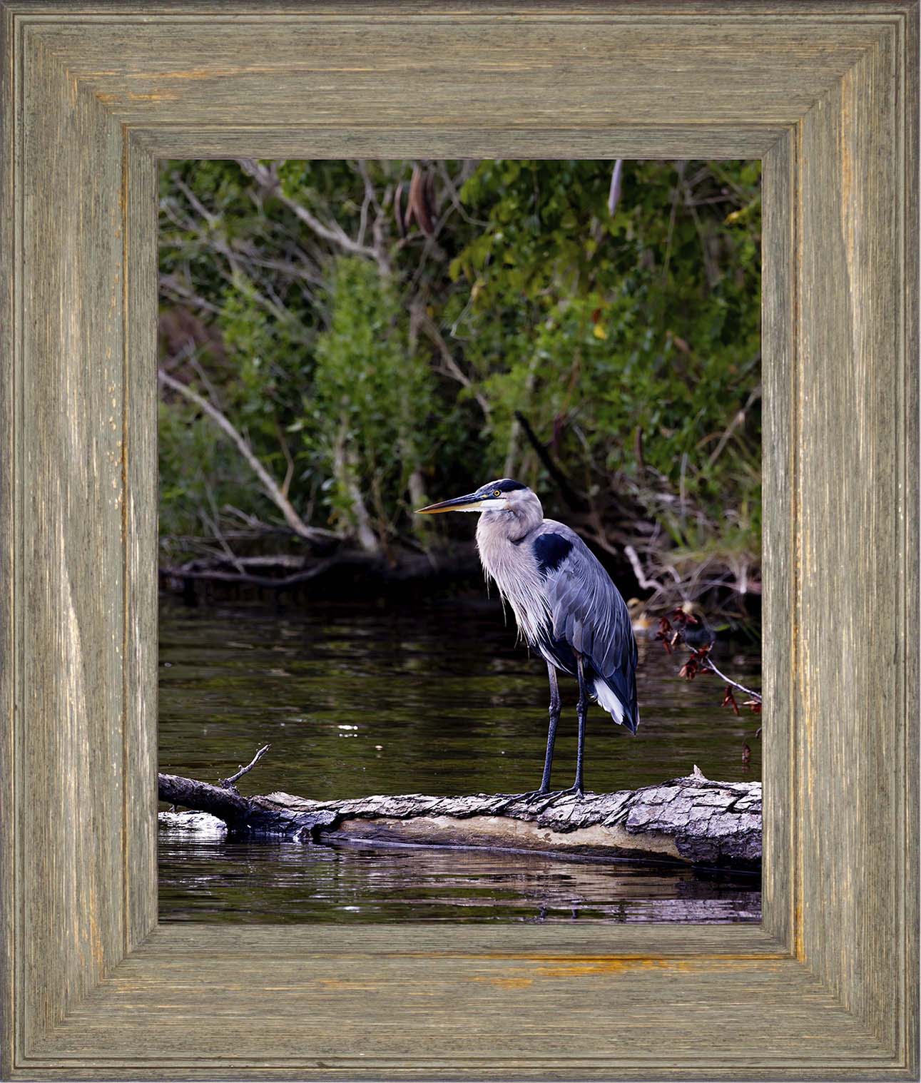 The Surveyor -- Digital Print