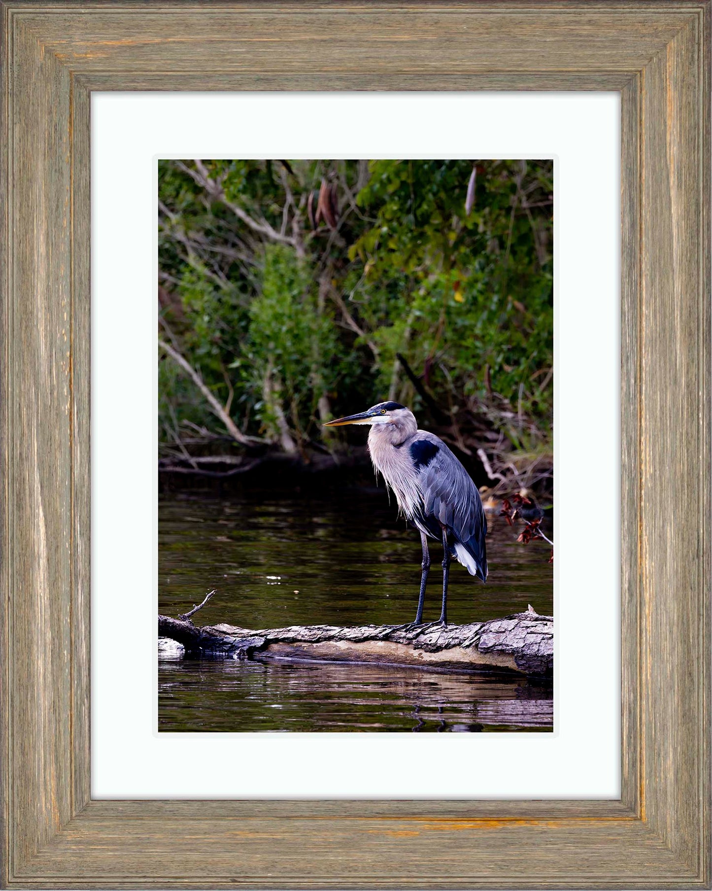 The Surveyor -- Digital Print