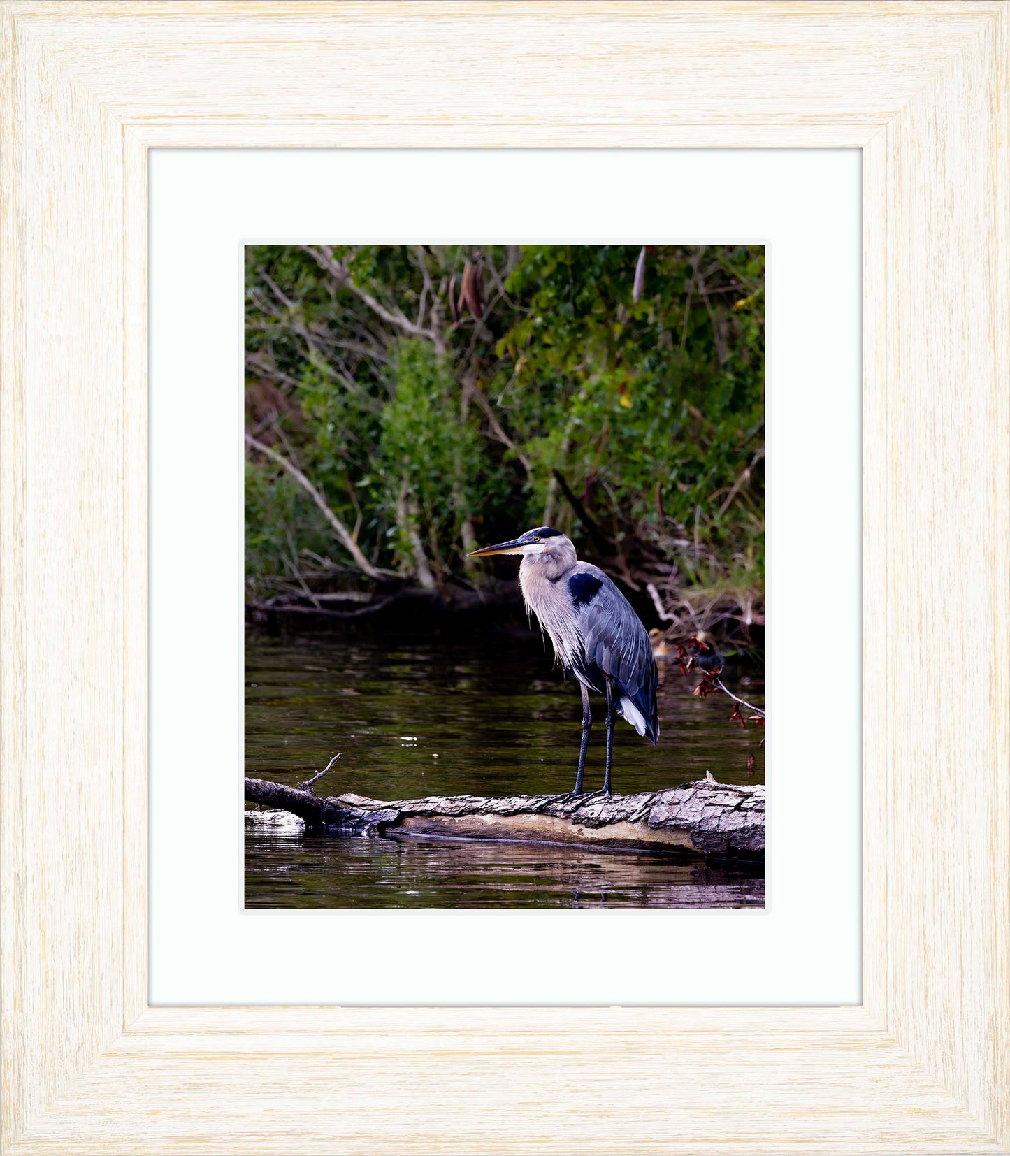 The Surveyor -- Digital Print