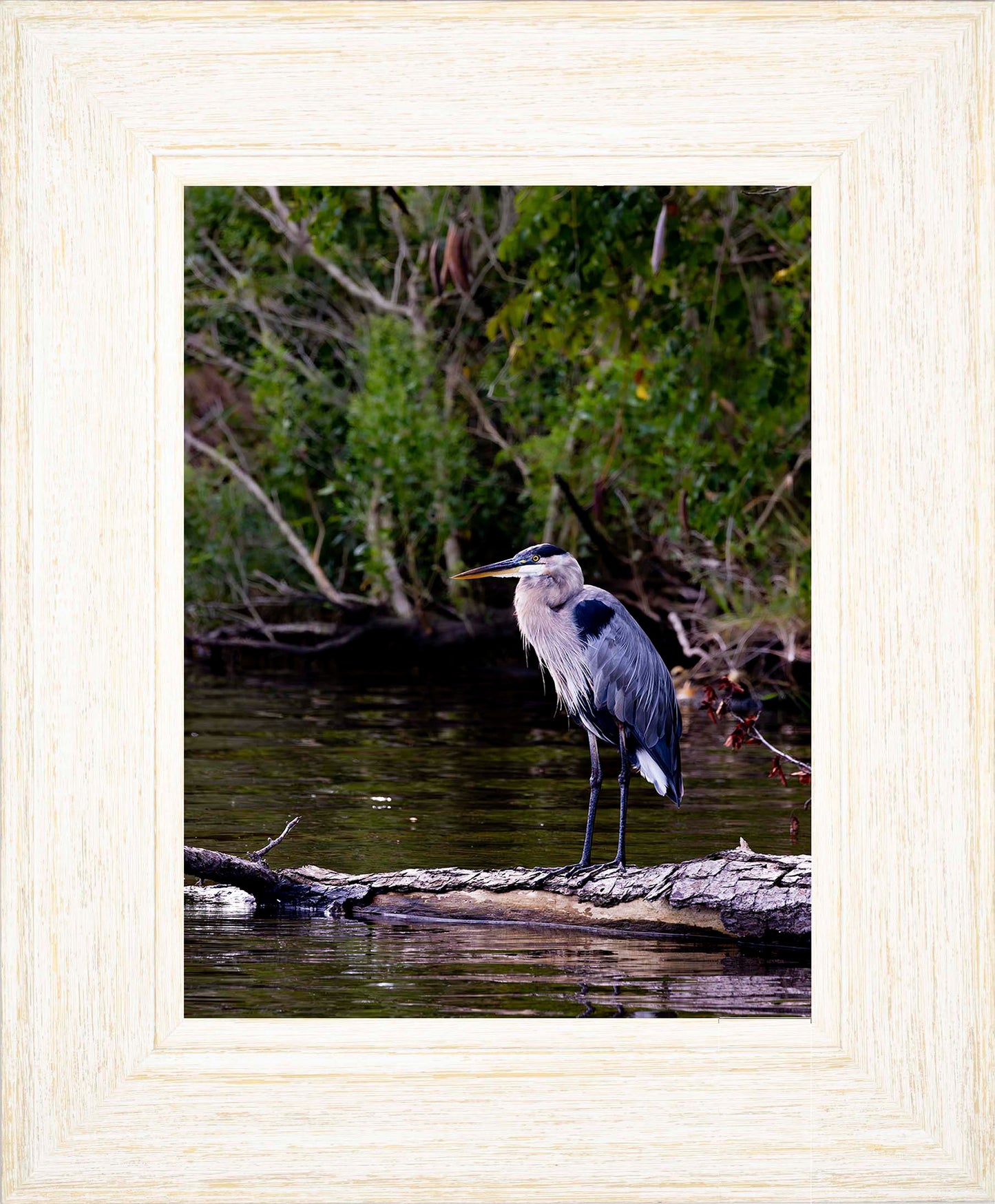 The Surveyor -- Digital Print