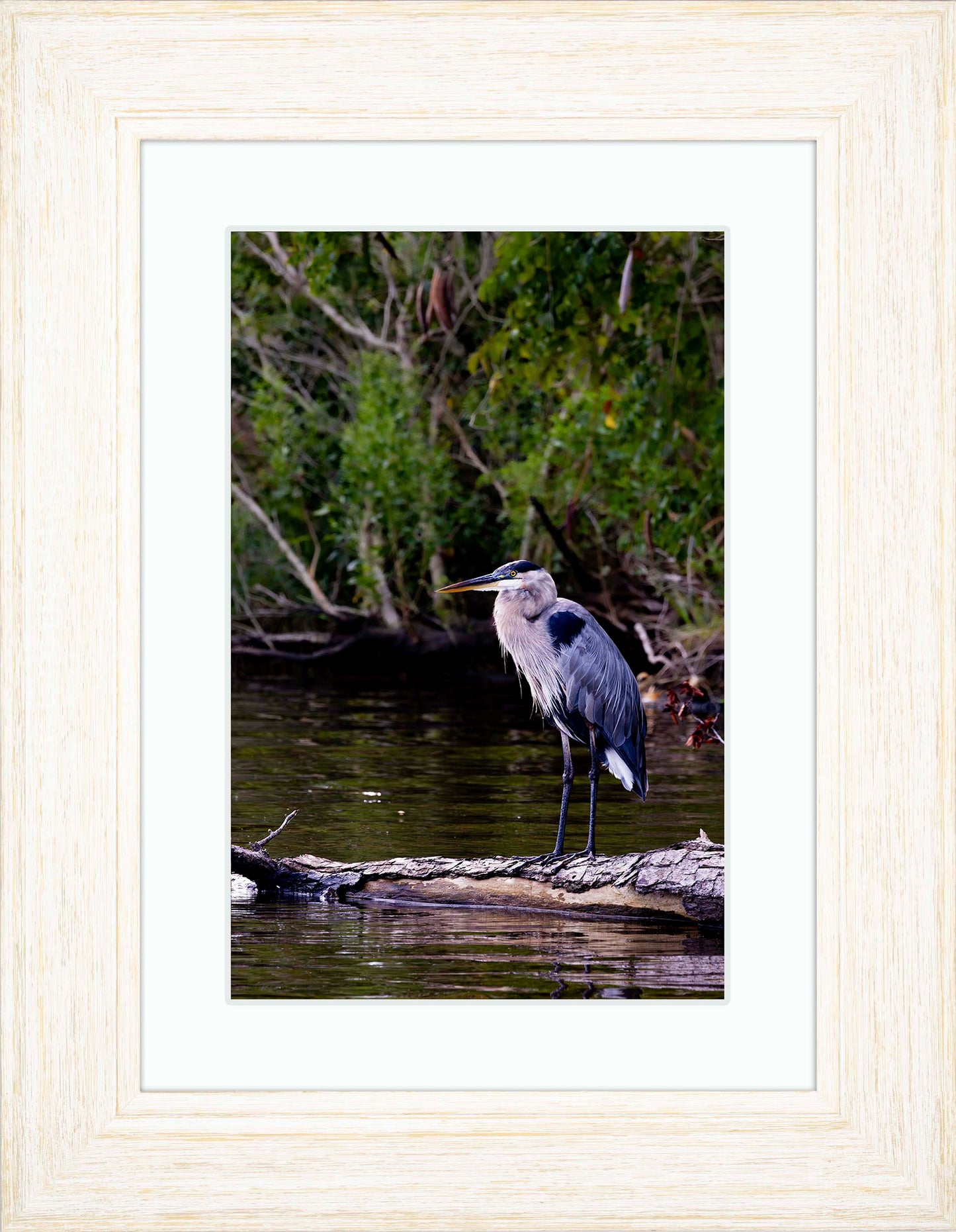 The Surveyor -- Digital Print