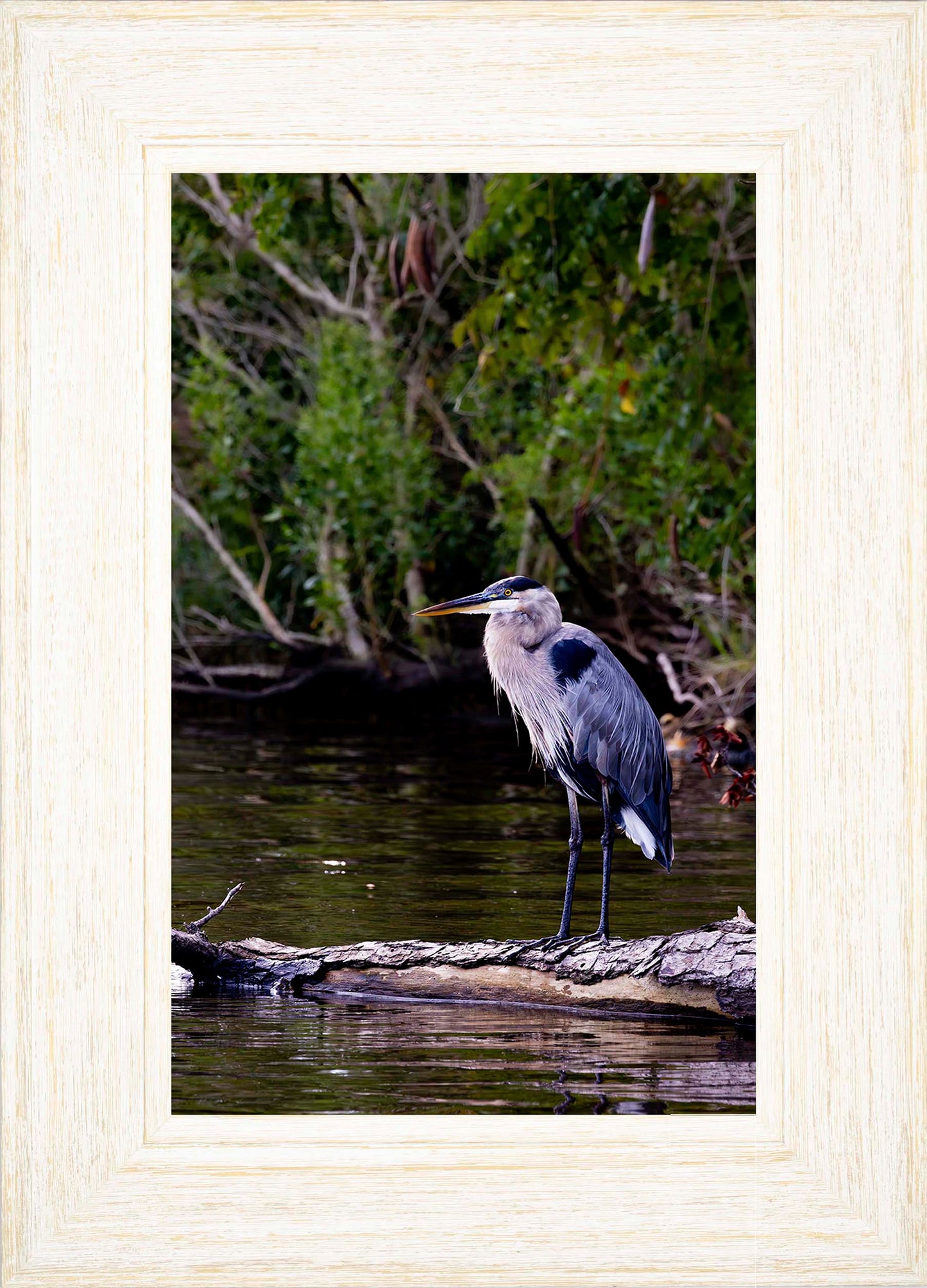 The Surveyor -- Digital Print