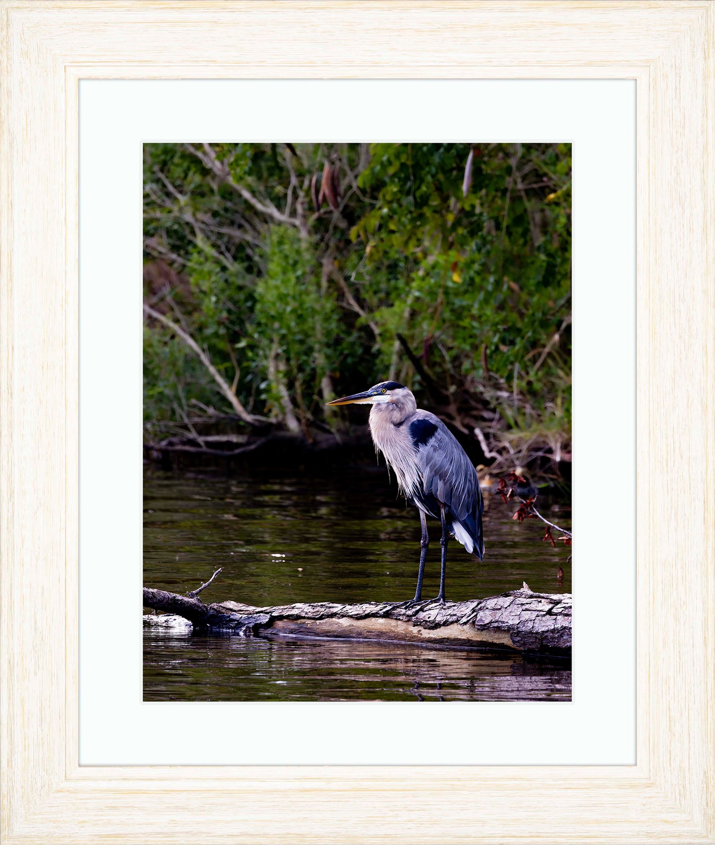 The Surveyor -- Digital Print