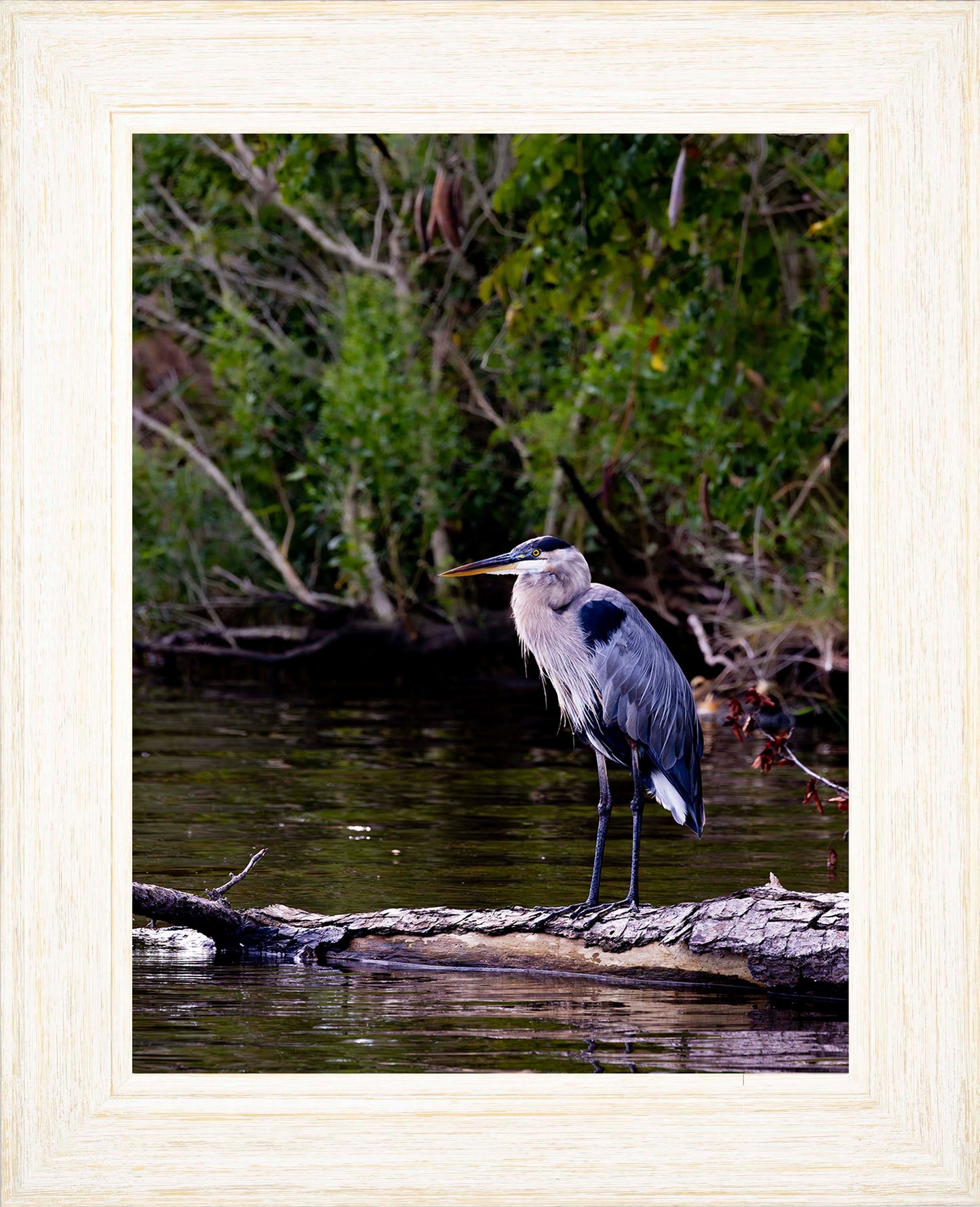 The Surveyor -- Digital Print