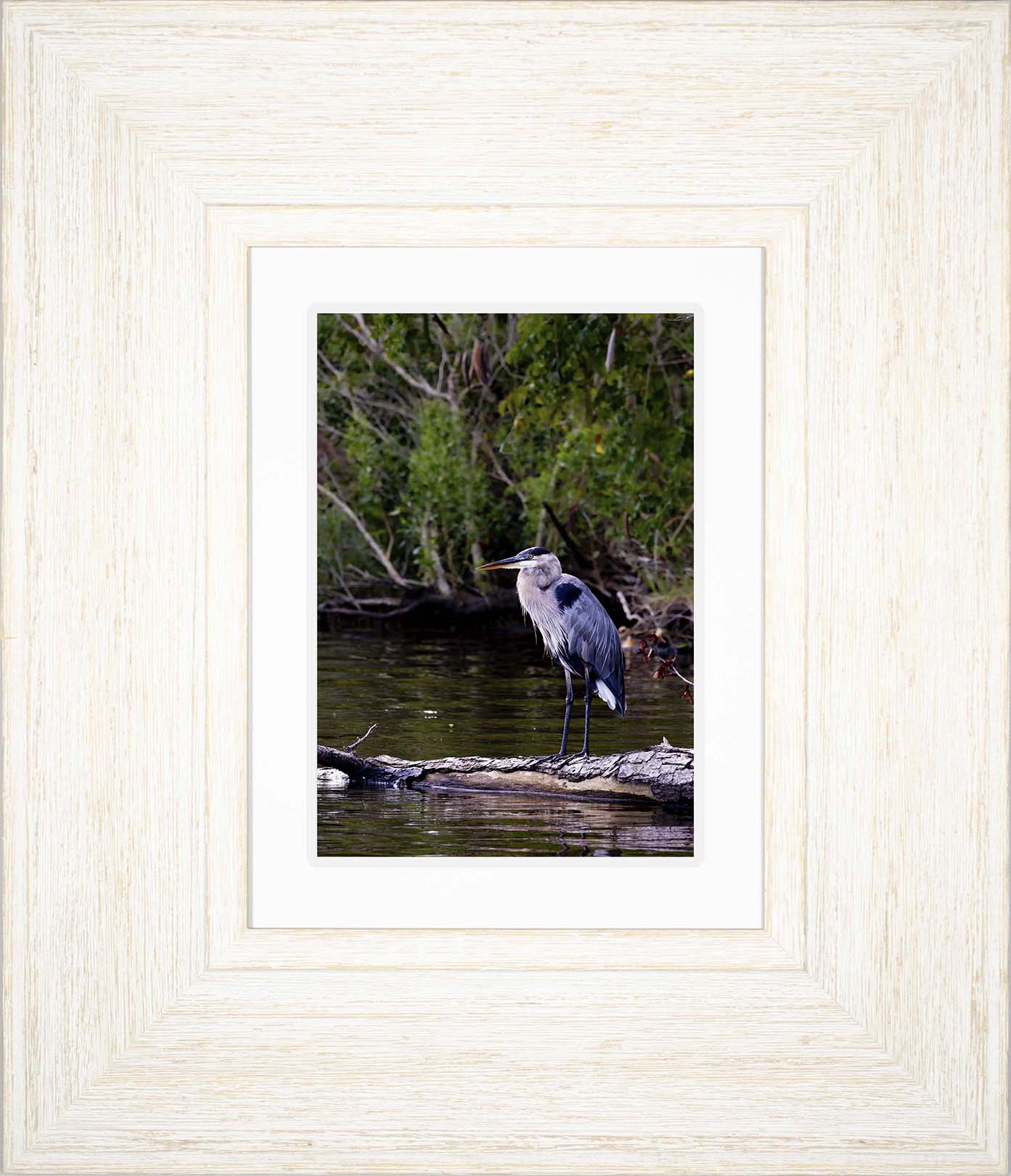 The Surveyor -- Digital Print