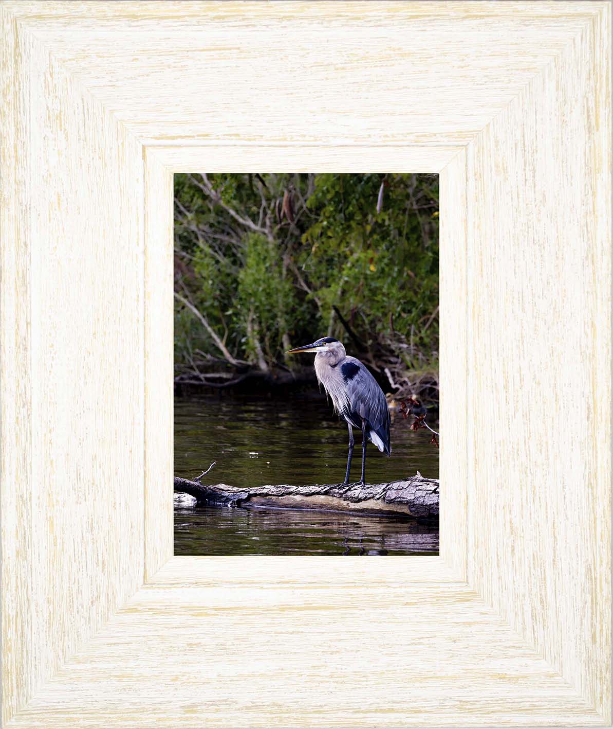 The Surveyor -- Digital Print