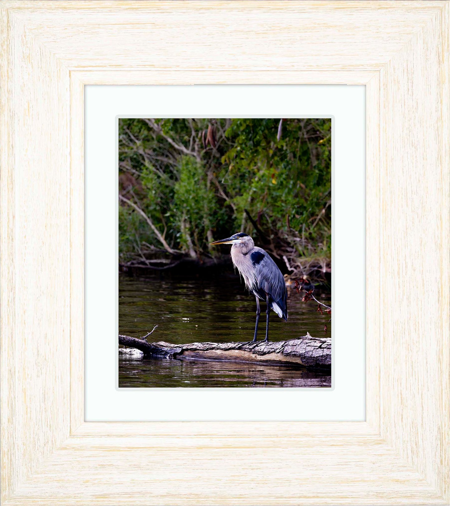 The Surveyor -- Digital Print