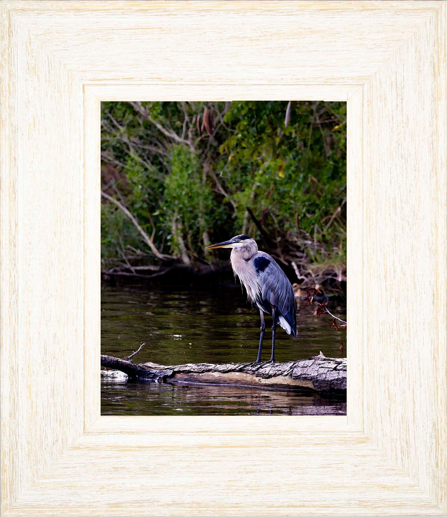 The Surveyor -- Digital Print