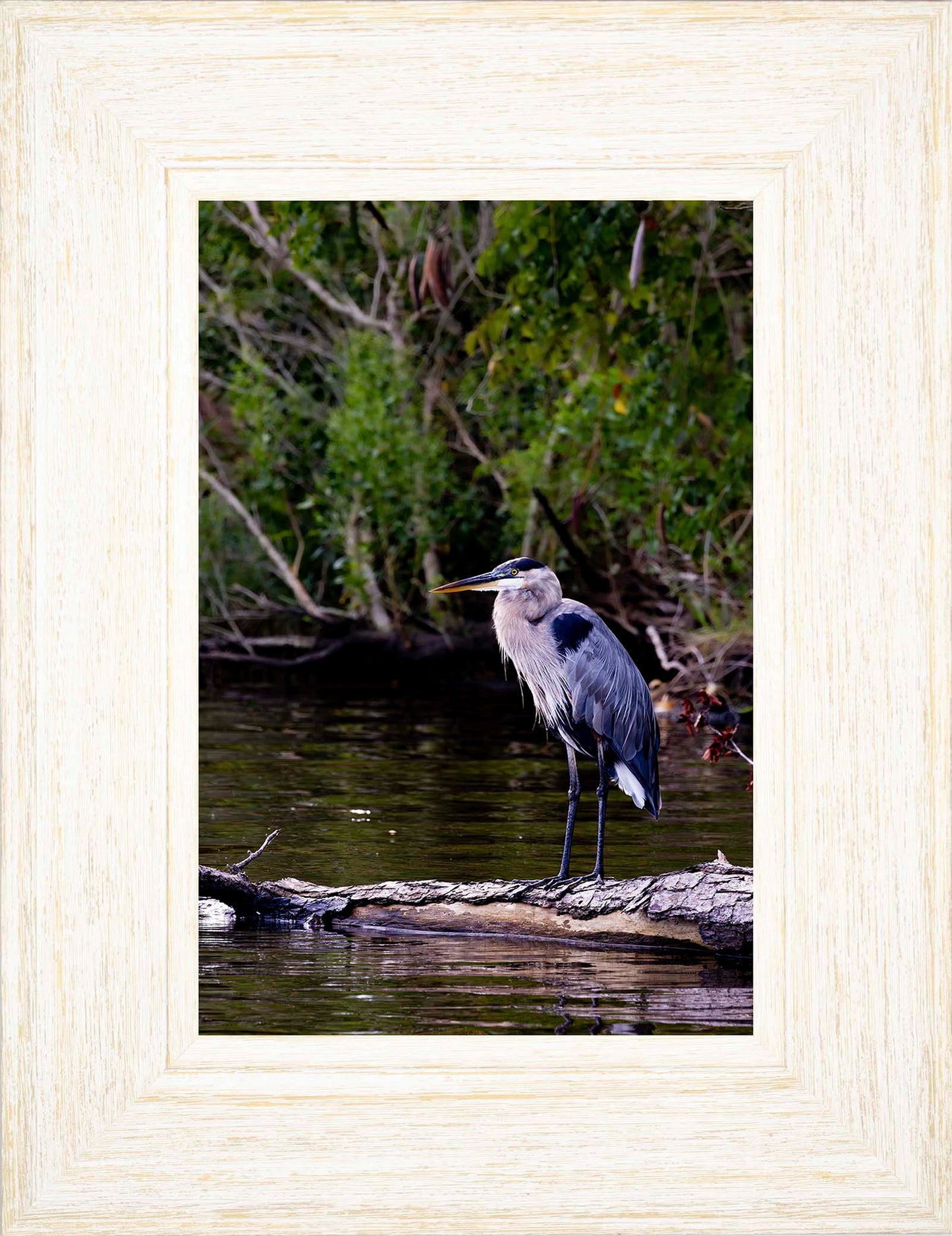 The Surveyor -- Digital Print