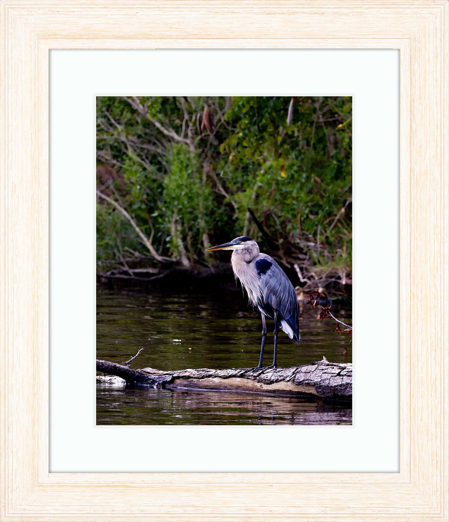 The Surveyor -- Digital Print