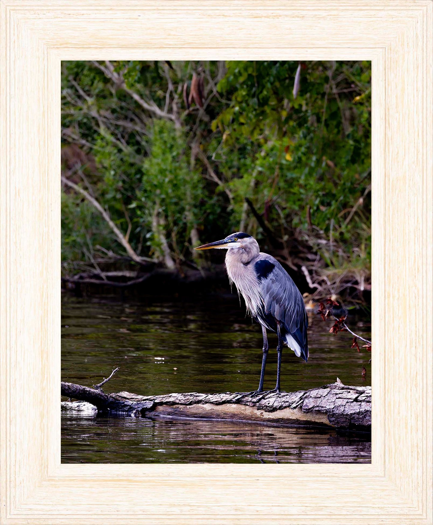 The Surveyor -- Digital Print