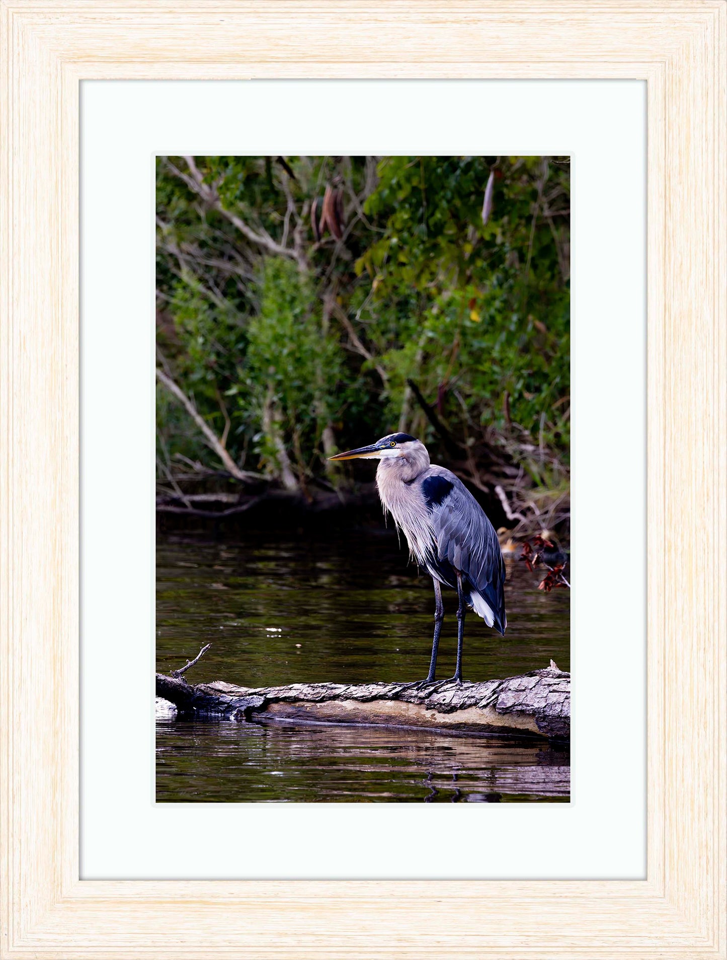 The Surveyor -- Digital Print