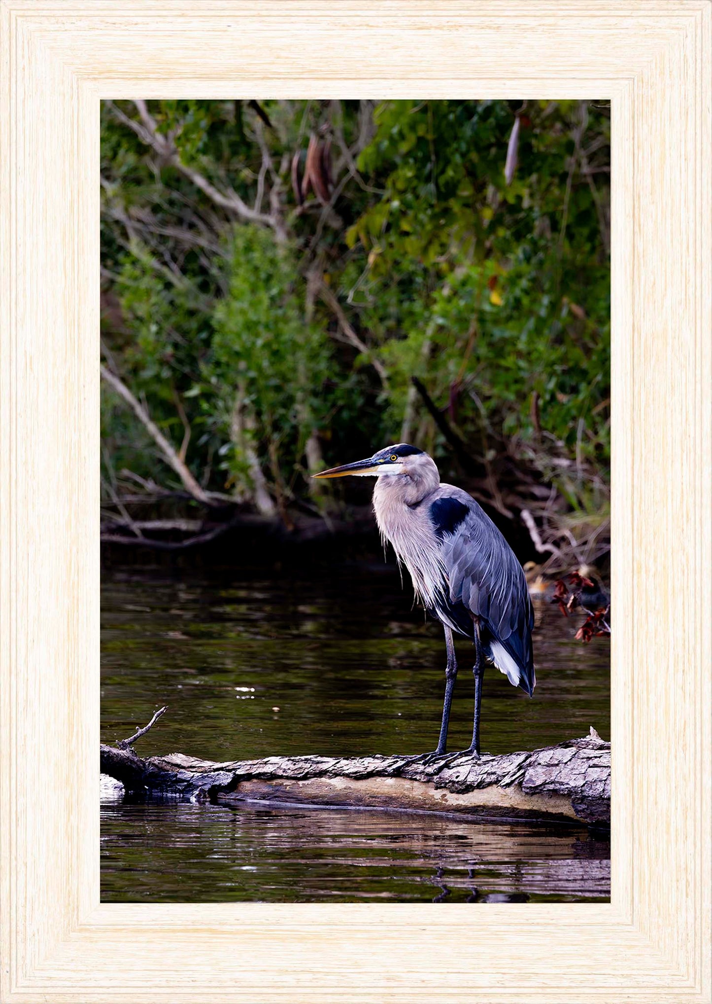 The Surveyor -- Digital Print