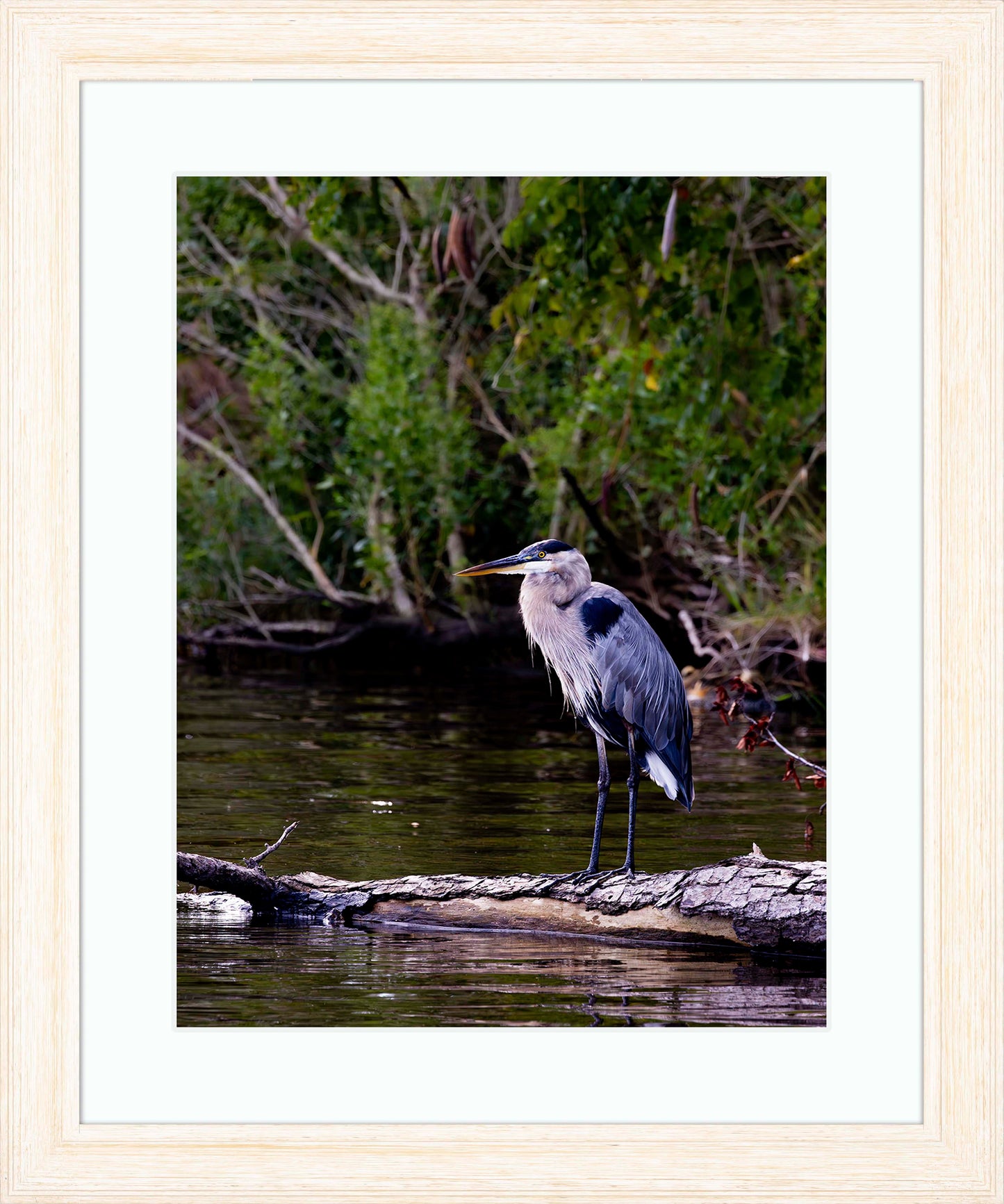 The Surveyor -- Digital Print