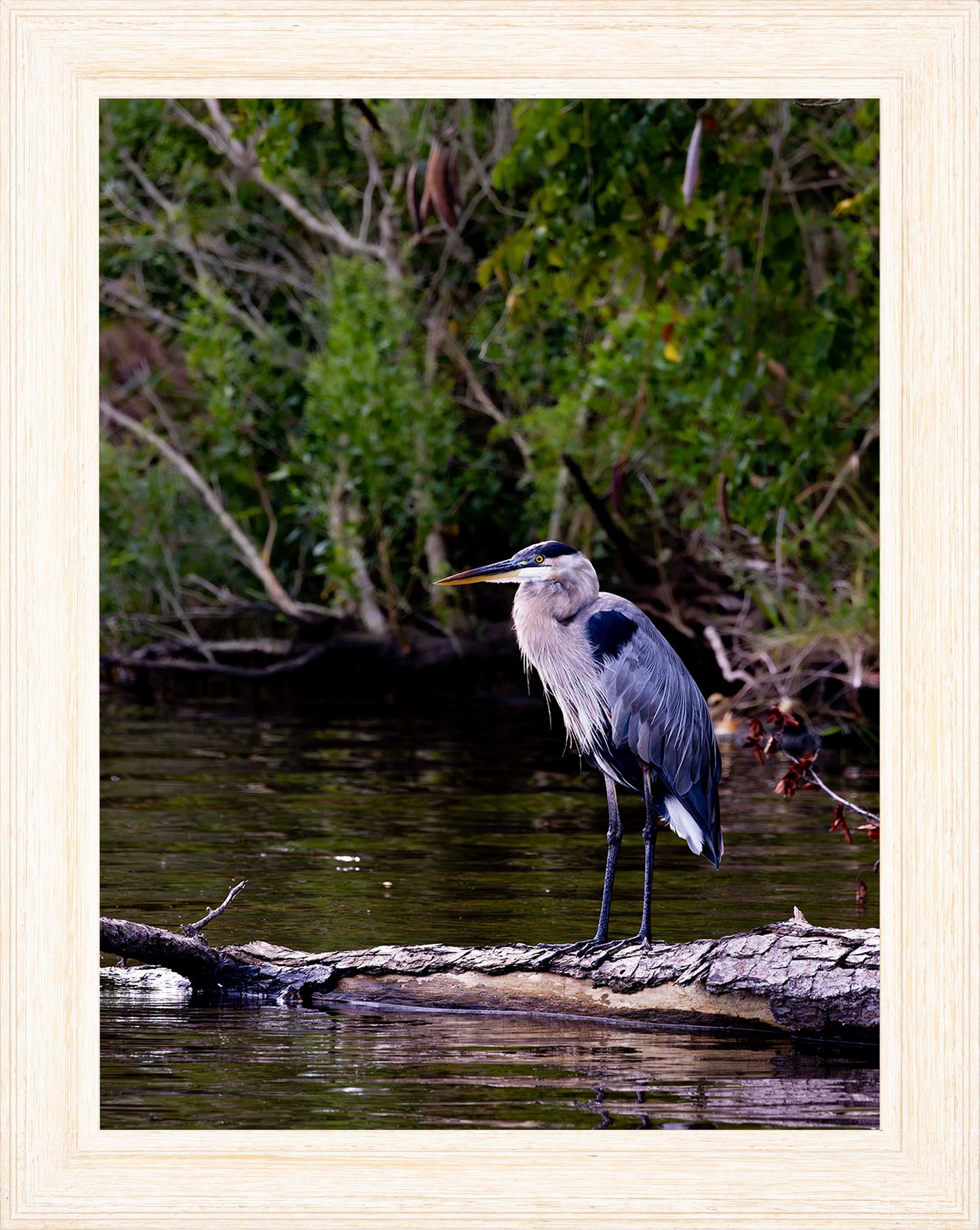 The Surveyor -- Digital Print