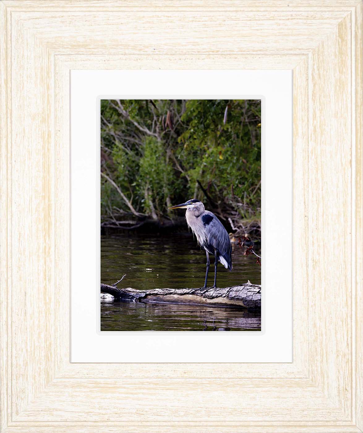 The Surveyor -- Digital Print