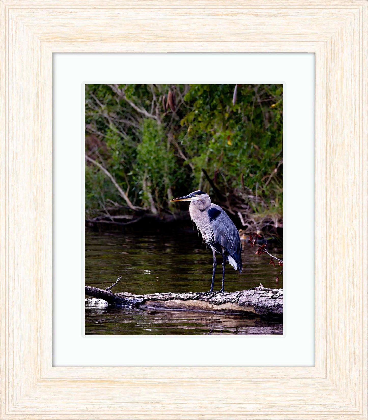 The Surveyor -- Digital Print