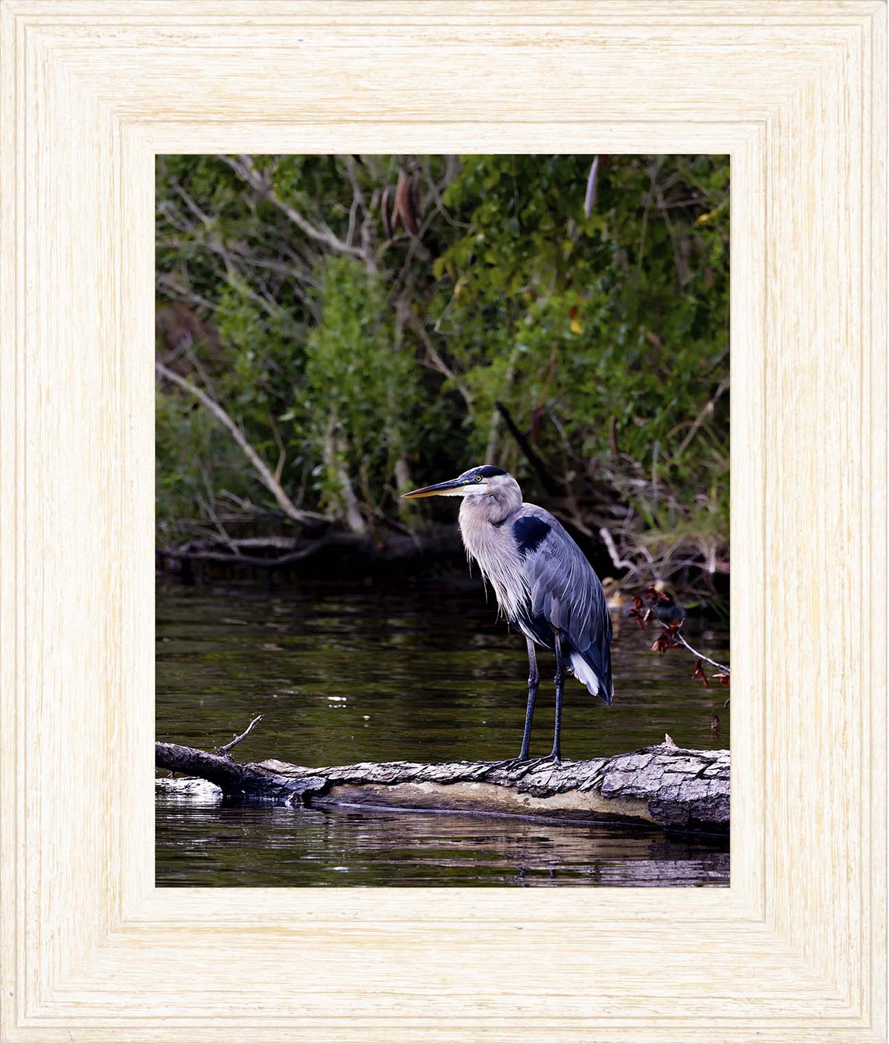 The Surveyor -- Digital Print