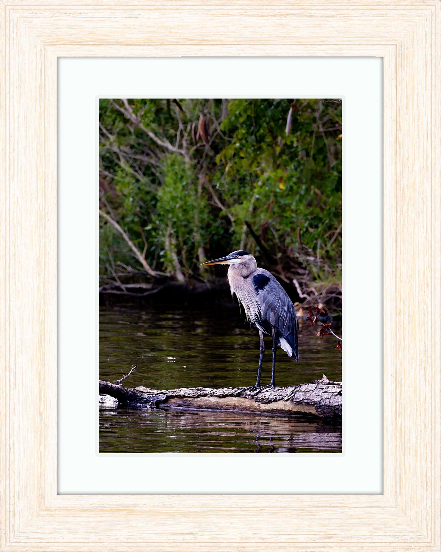 The Surveyor -- Digital Print