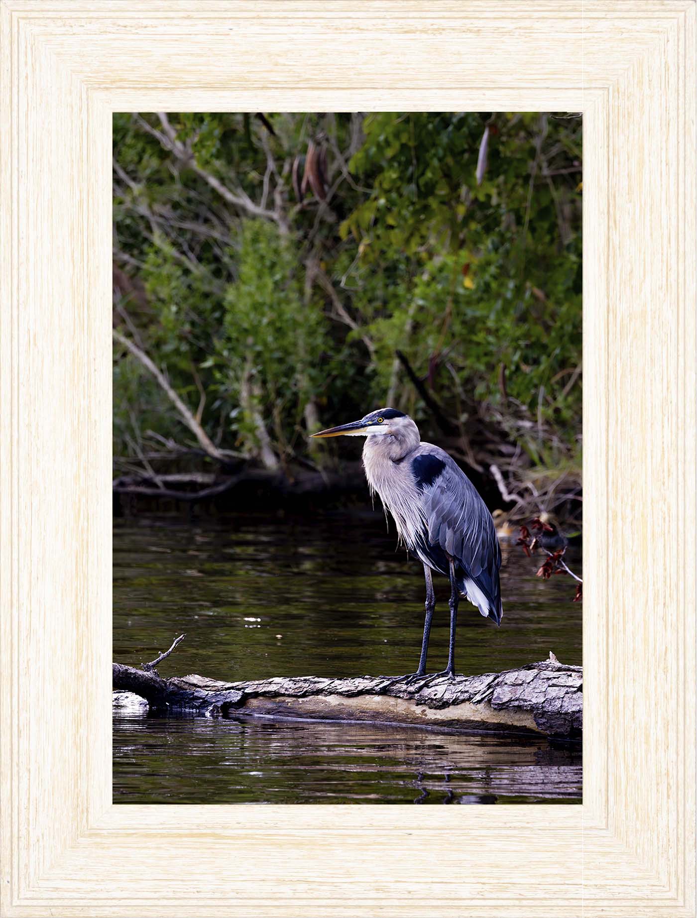 The Surveyor -- Digital Print