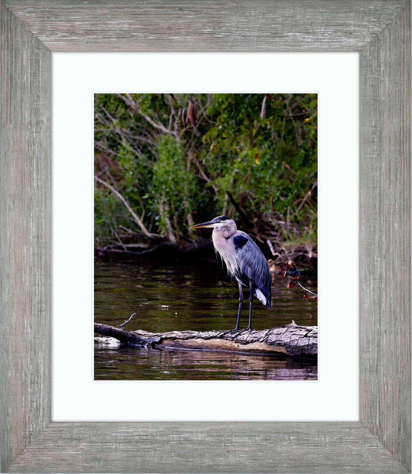 The Surveyor -- Digital Print