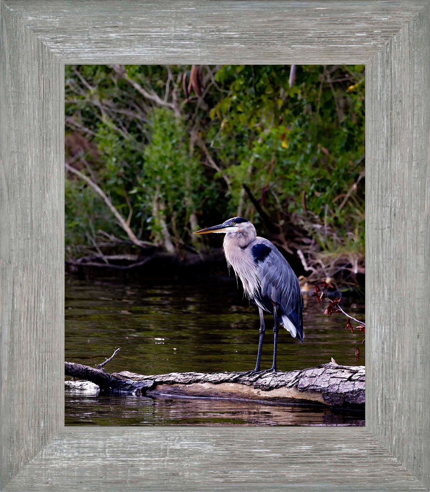 The Surveyor -- Digital Print