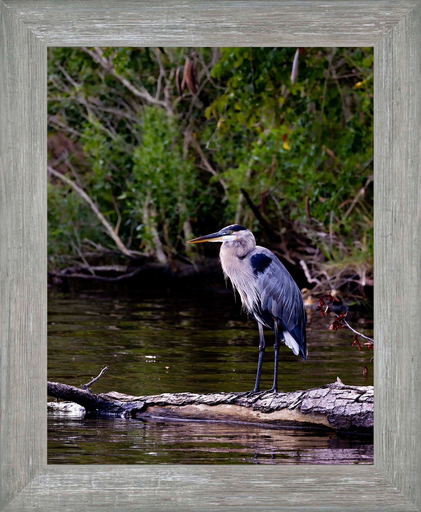 The Surveyor -- Digital Print