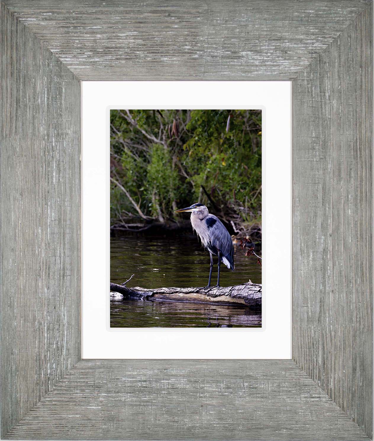 The Surveyor -- Digital Print