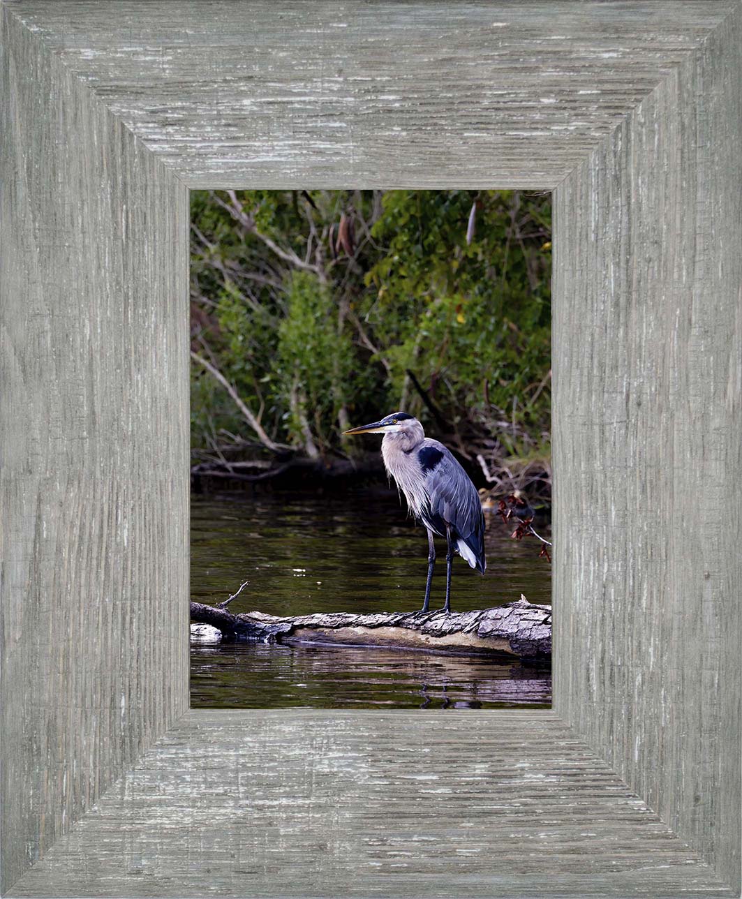 The Surveyor -- Digital Print