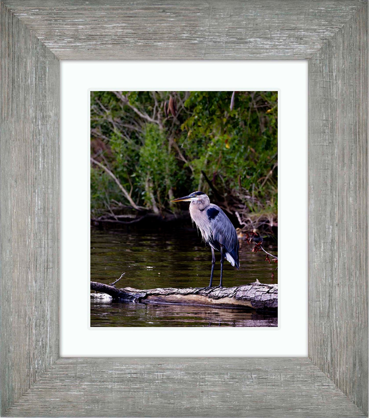 The Surveyor -- Digital Print