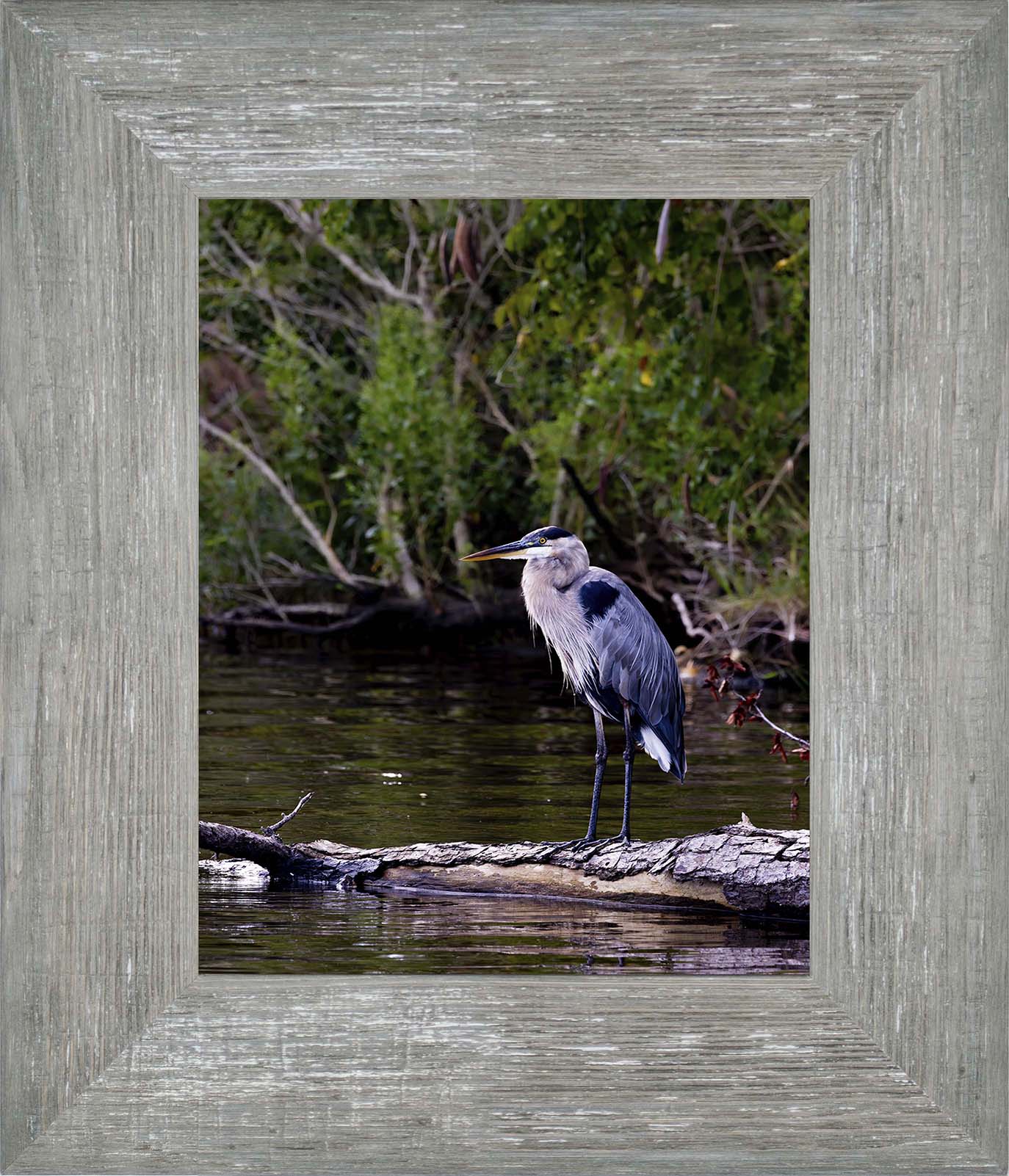 The Surveyor -- Digital Print