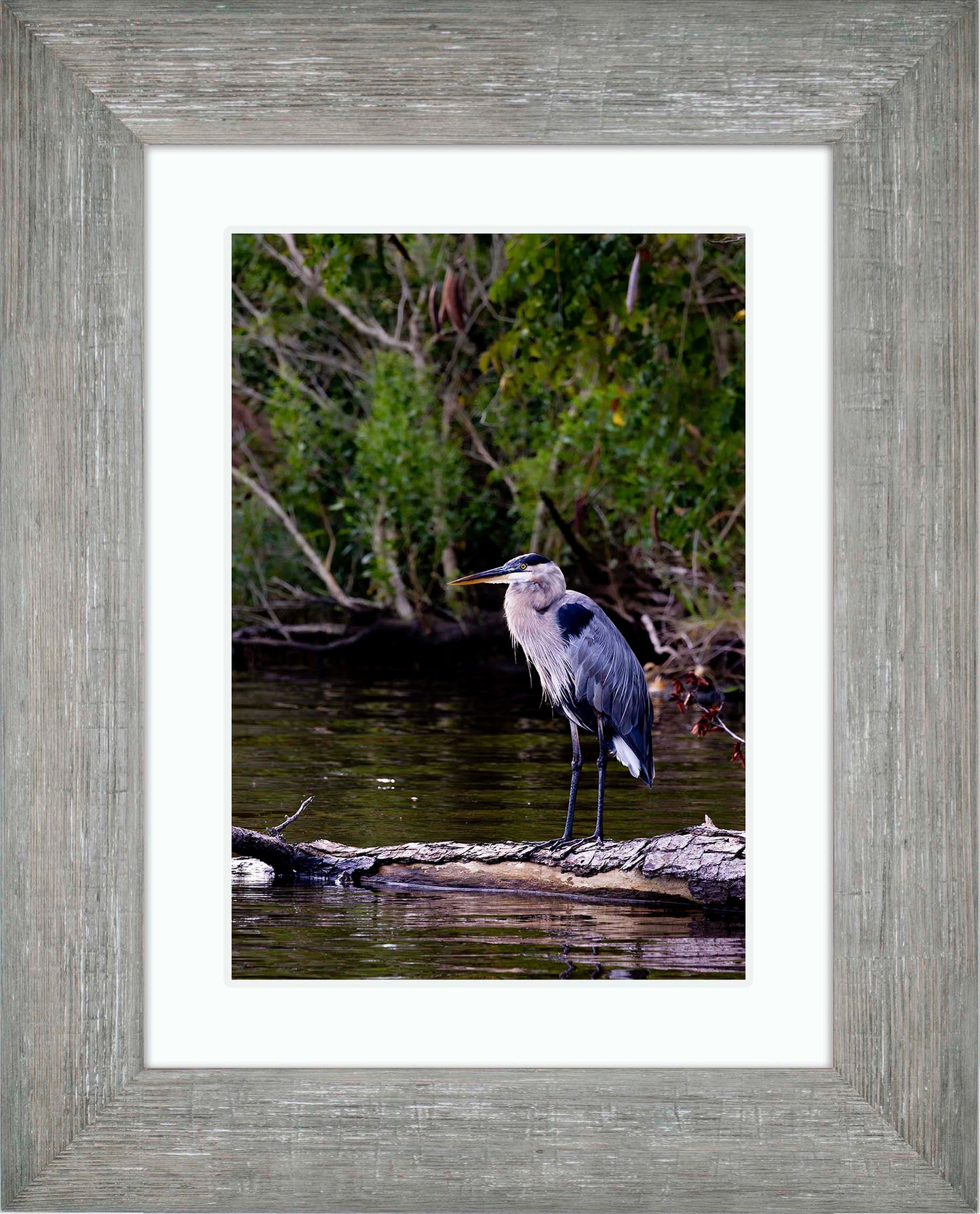 The Surveyor -- Digital Print