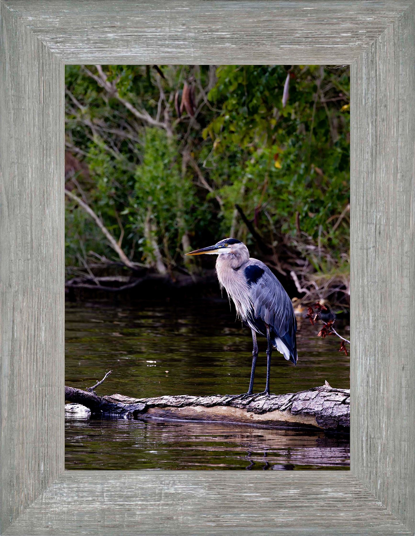 The Surveyor -- Digital Print