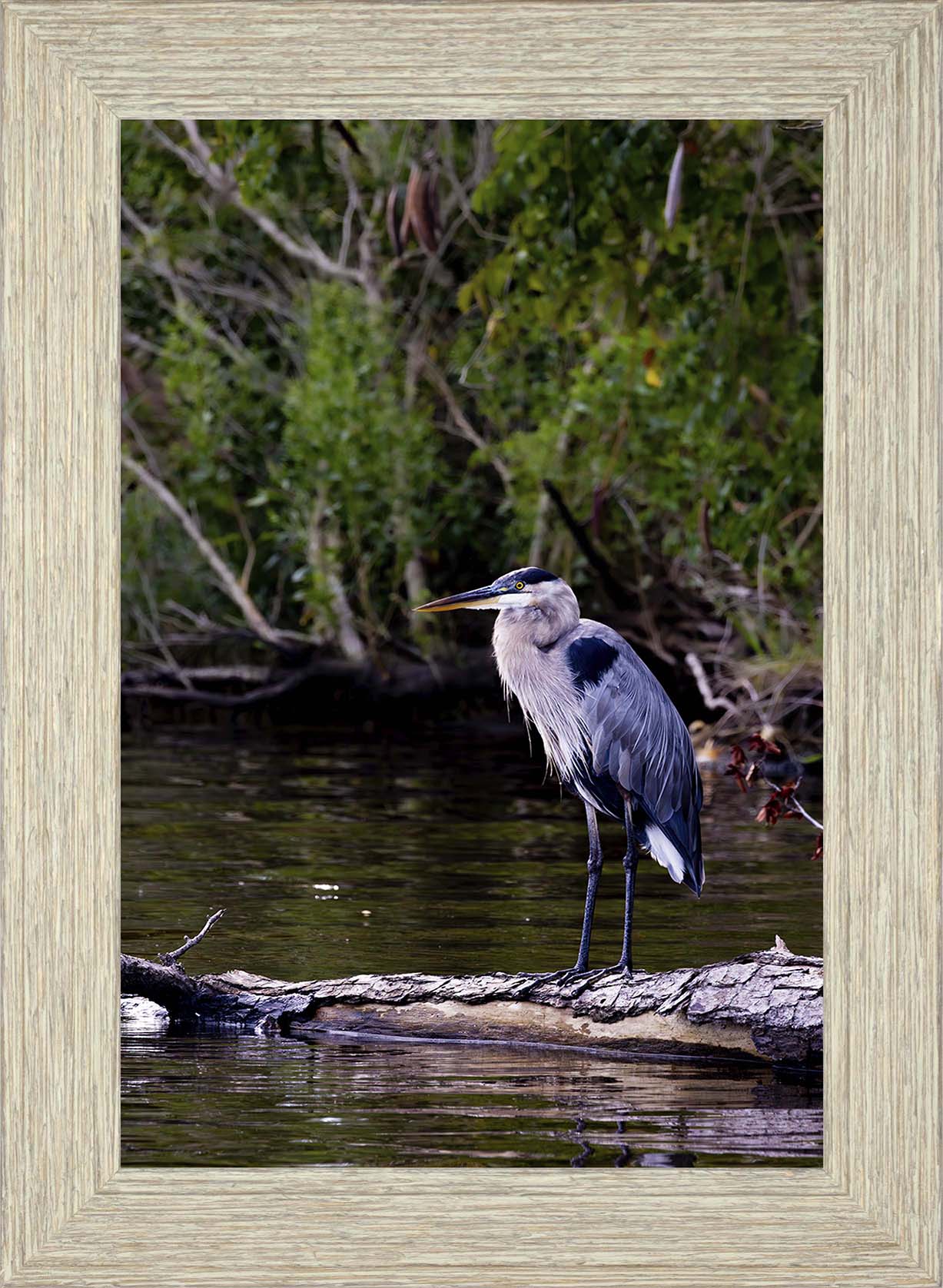 The Surveyor -- Digital Print