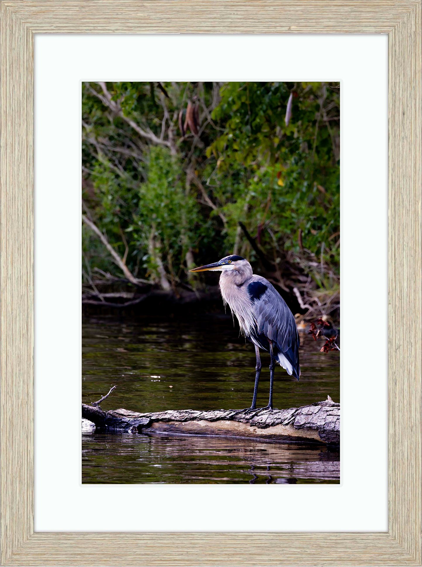 The Surveyor -- Digital Print