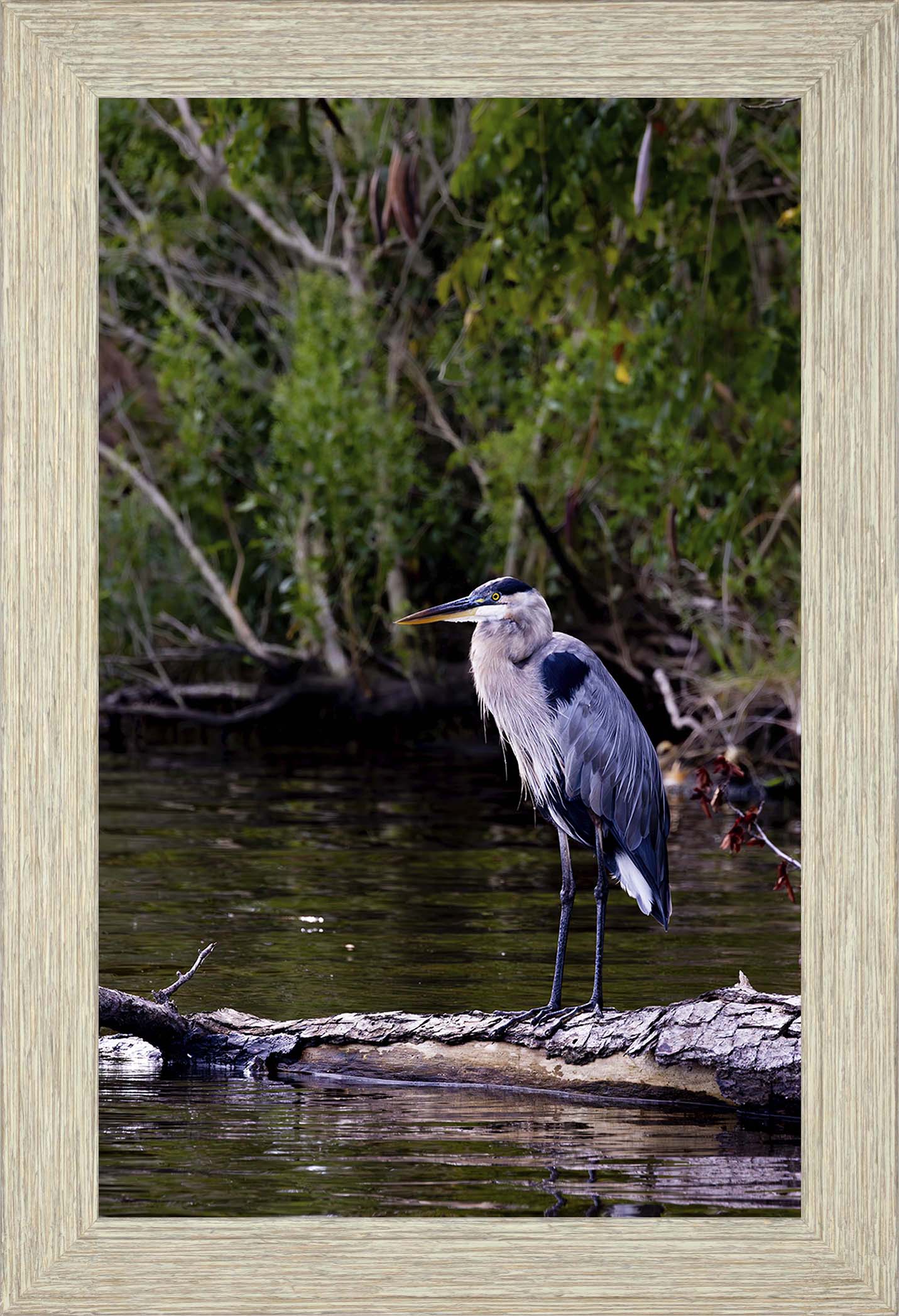 The Surveyor -- Digital Print