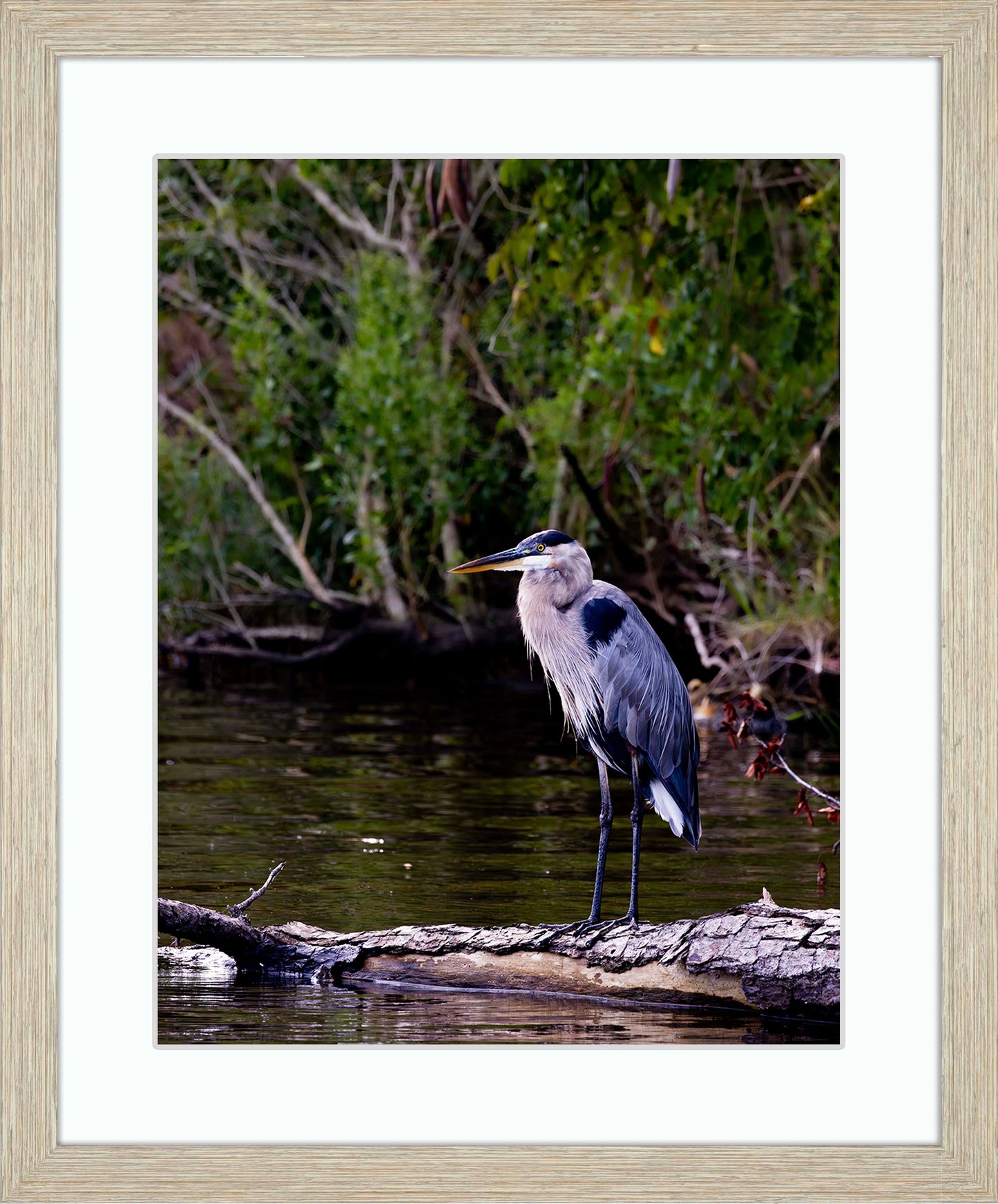 The Surveyor -- Digital Print