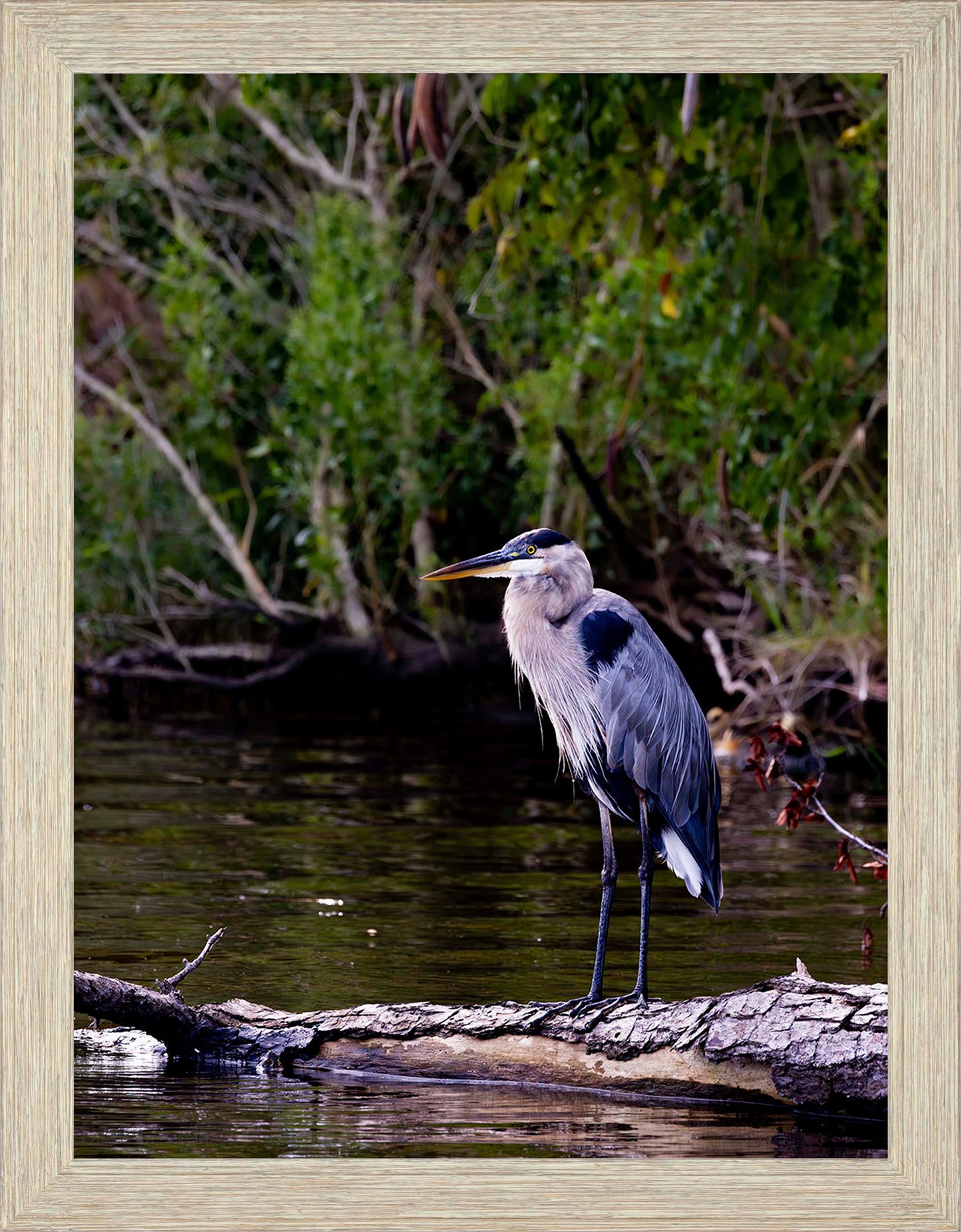 The Surveyor -- Digital Print