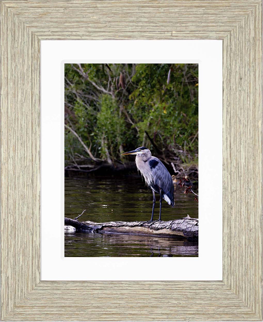 The Surveyor -- Digital Print