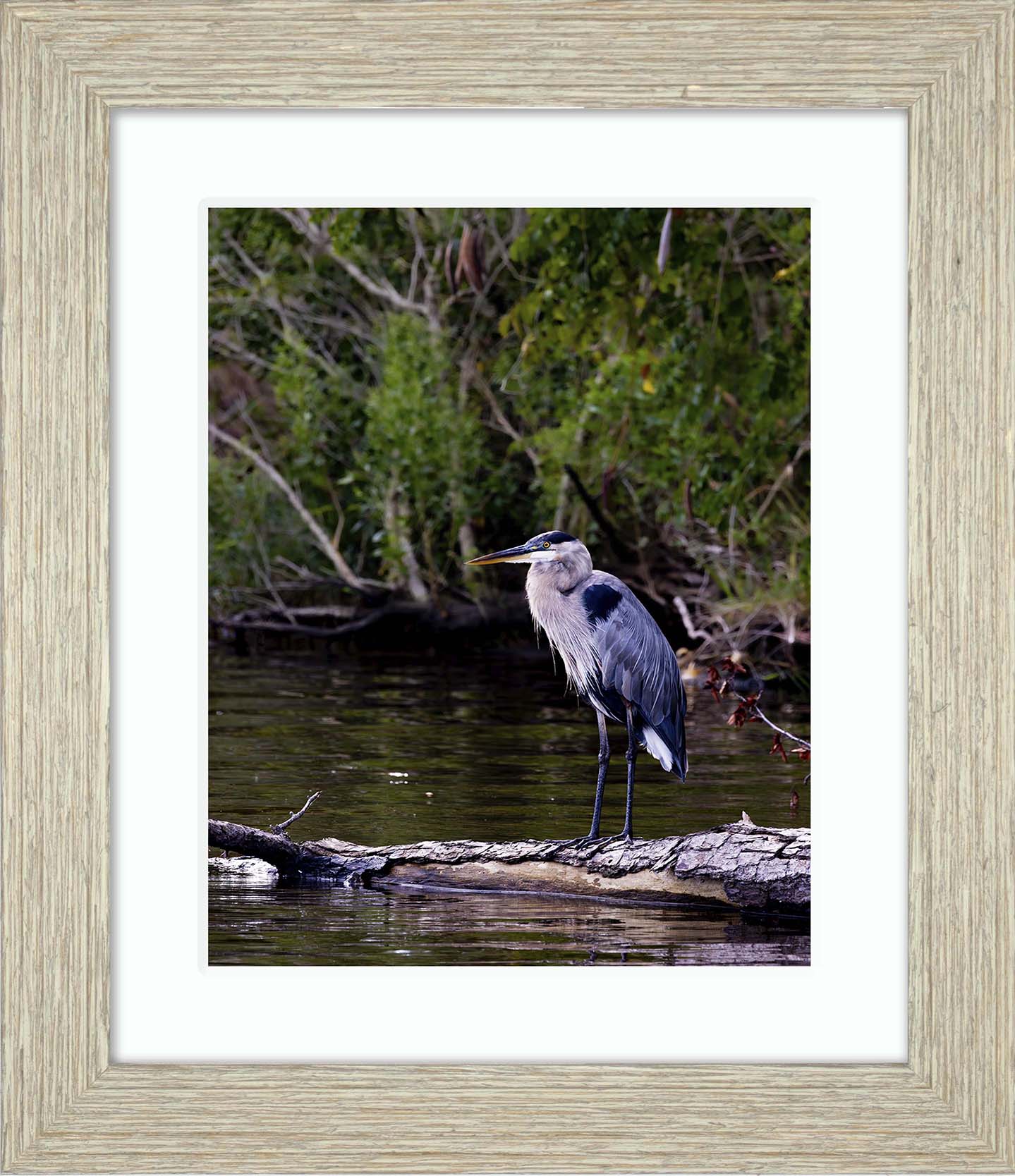 The Surveyor -- Digital Print