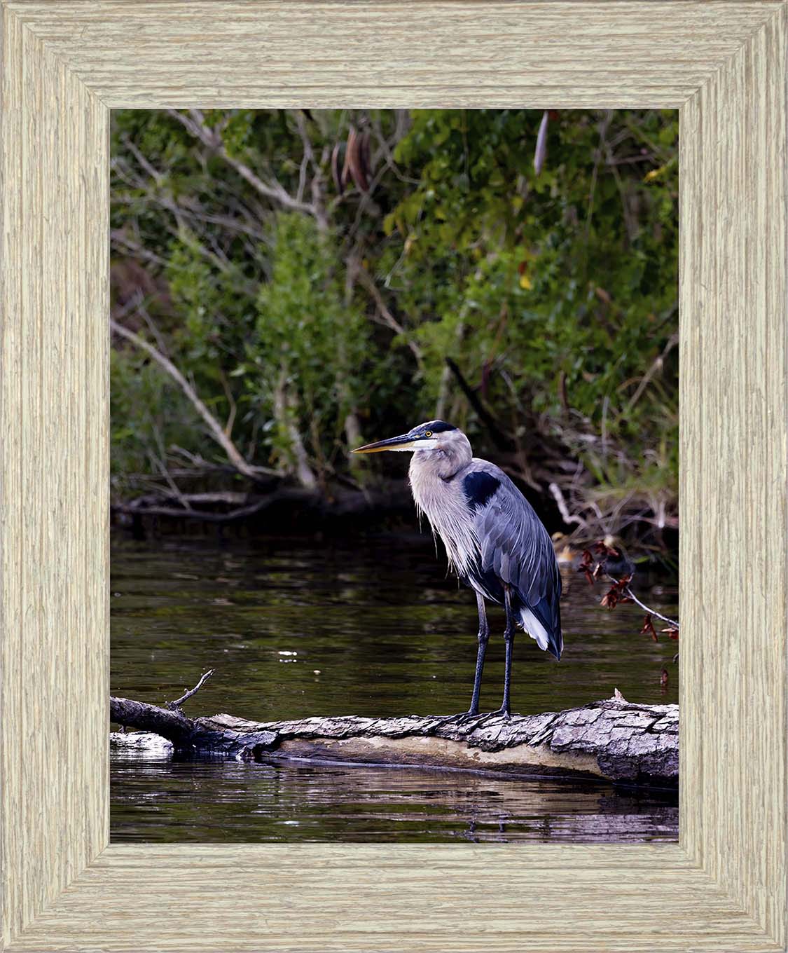 The Surveyor -- Digital Print