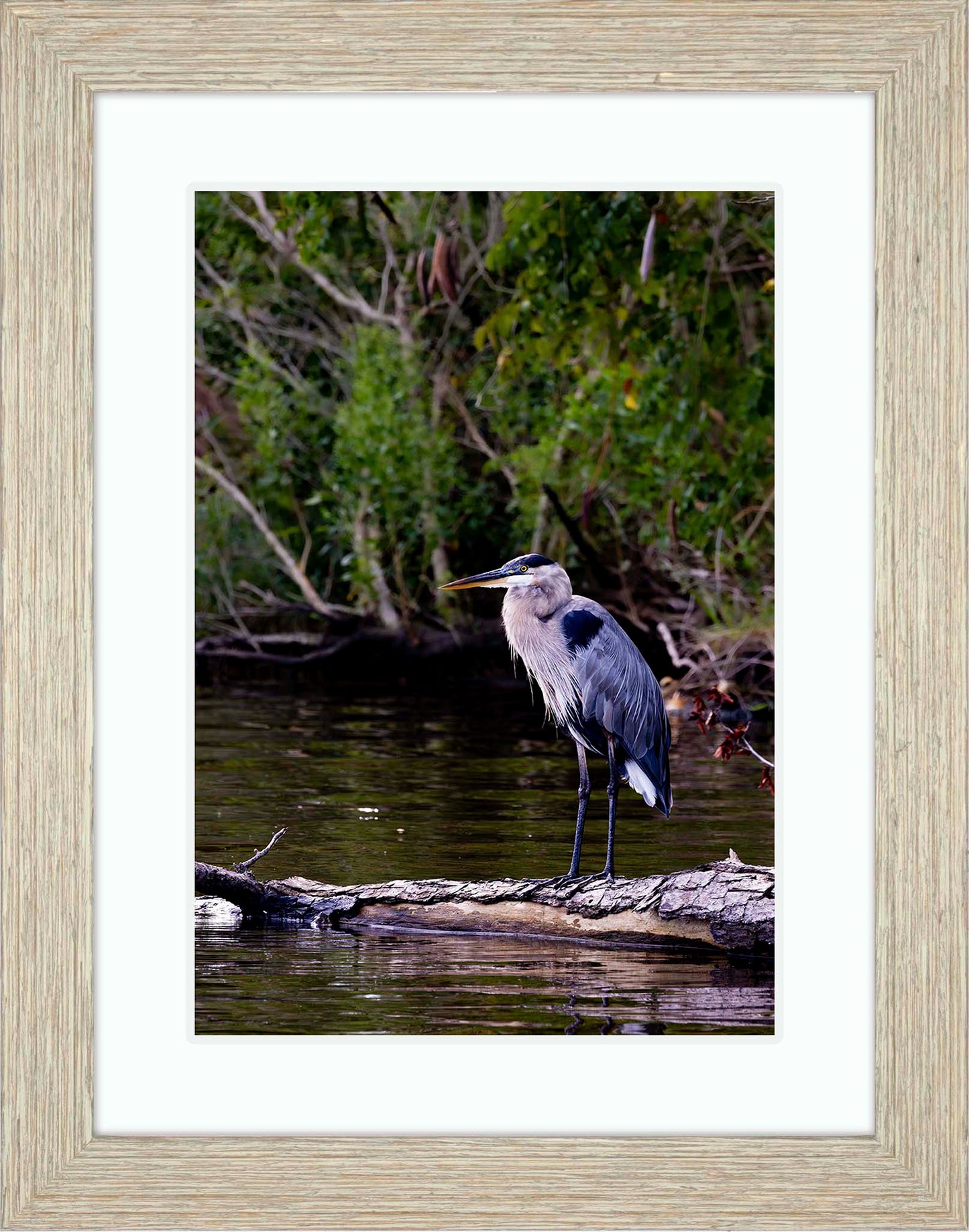 The Surveyor -- Digital Print