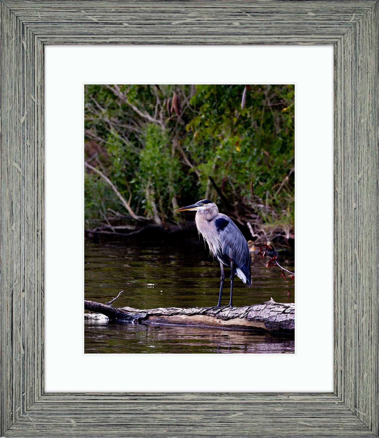 The Surveyor -- Digital Print